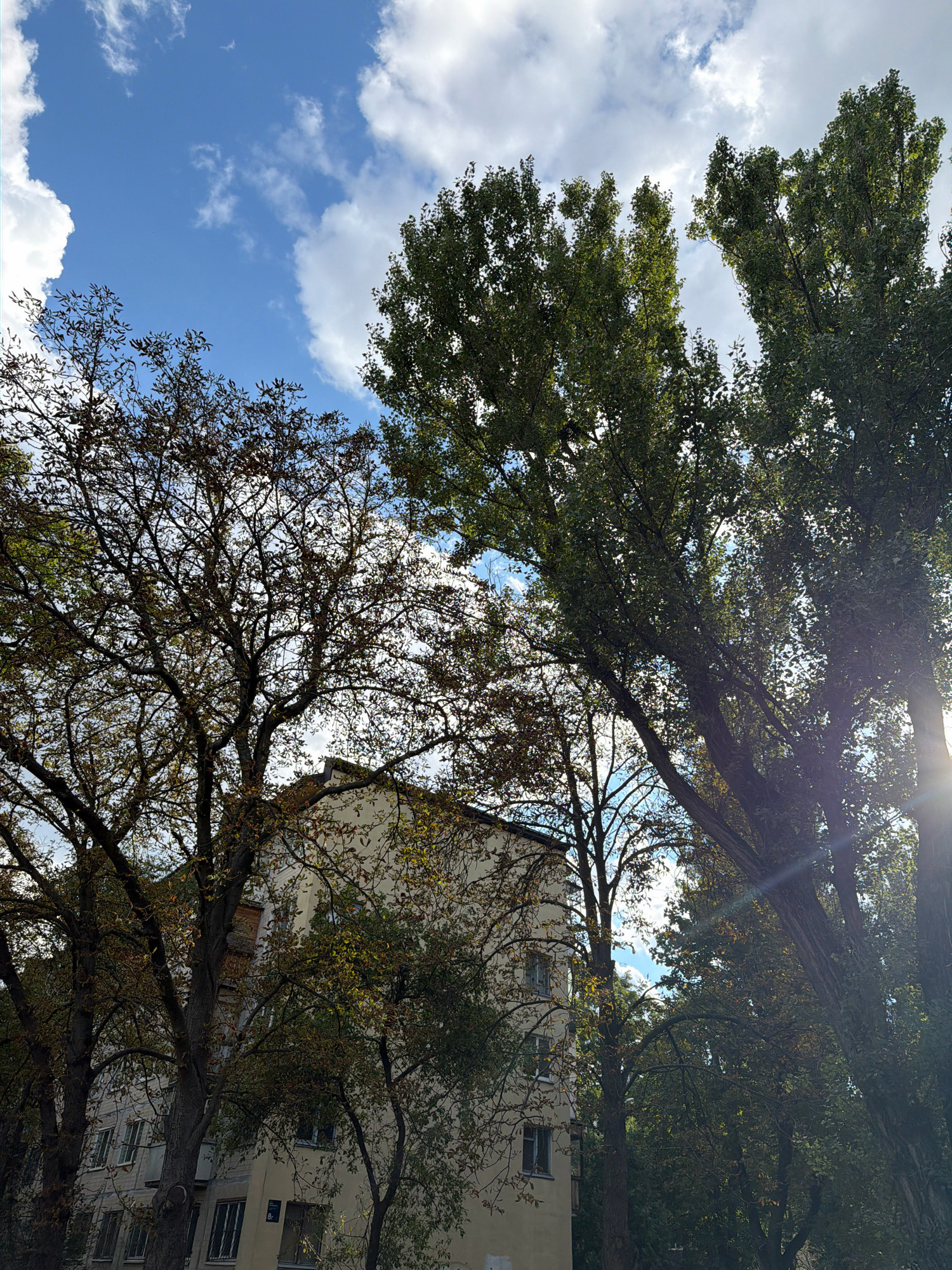 The image shows a residential building in Kyiv, Ukraine, with several tall trees in the foreground. The building appears to be several stories high and is painted a light yellow color. The trees are mostly deciduous and have started to show signs of autumn with some leaves turning brown and yellow. The sky is blue with scattered white clouds. The sun is shining, and there is a lens flare in the upper right portion of the image. The overall impression is one of a peaceful, everyday urban scene.