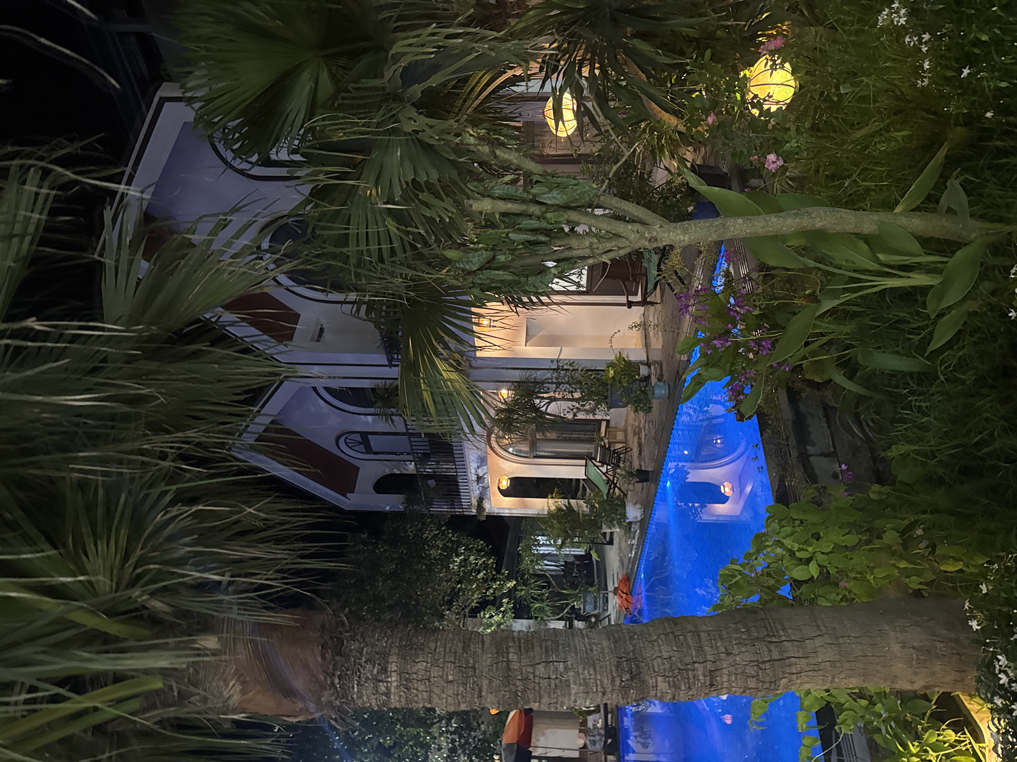 The image depicts a nighttime scene at a resort or guesthouse in Nam Hoa Lư Ward, Vietnam, featuring a bright blue swimming pool. In the foreground, a large palm tree with a textured trunk stands to the left, partially obscuring the view. Adjacent to the pool, lush green foliage and flowering plants are visible.
To the right of the pool, a building with white walls and dark arched windows and doorways is illuminated. The building has multiple stories with balconies and a pitched roof with red trim. Several potted plants are placed around the building. Two green lounge chairs and other outdoor furniture are situated near the pool.
A spherical yellow lantern is suspended amongst the greenery on the right side of the image, casting a warm glow. The swimming pool itself is the most striking element, its vibrant blue color reflecting the surrounding lights and foliage. The water appears calm and clear. The overall atmosphere is tranquil and inviting, suggesting a tropical vacation setting.