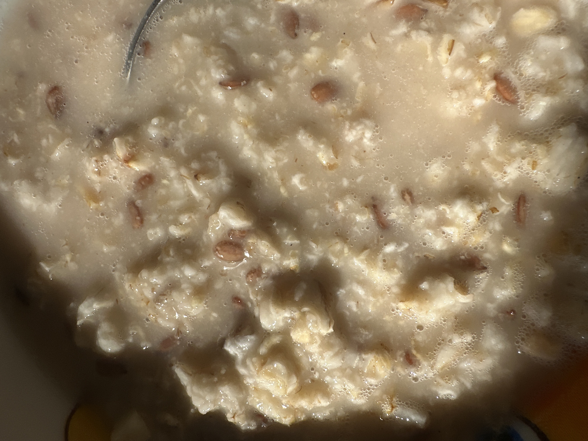 A close-up shot of a bowl of oatmeal with some seeds in it. A spoon is partially visible at the top of the image. The oatmeal appears watery. The bottom of the bowl, visible around the edges, is decorated with yellow and blue colors. The scene is indoors and well lit. There is no information available about the location in the city of Nizhny Novgorod, Russia.