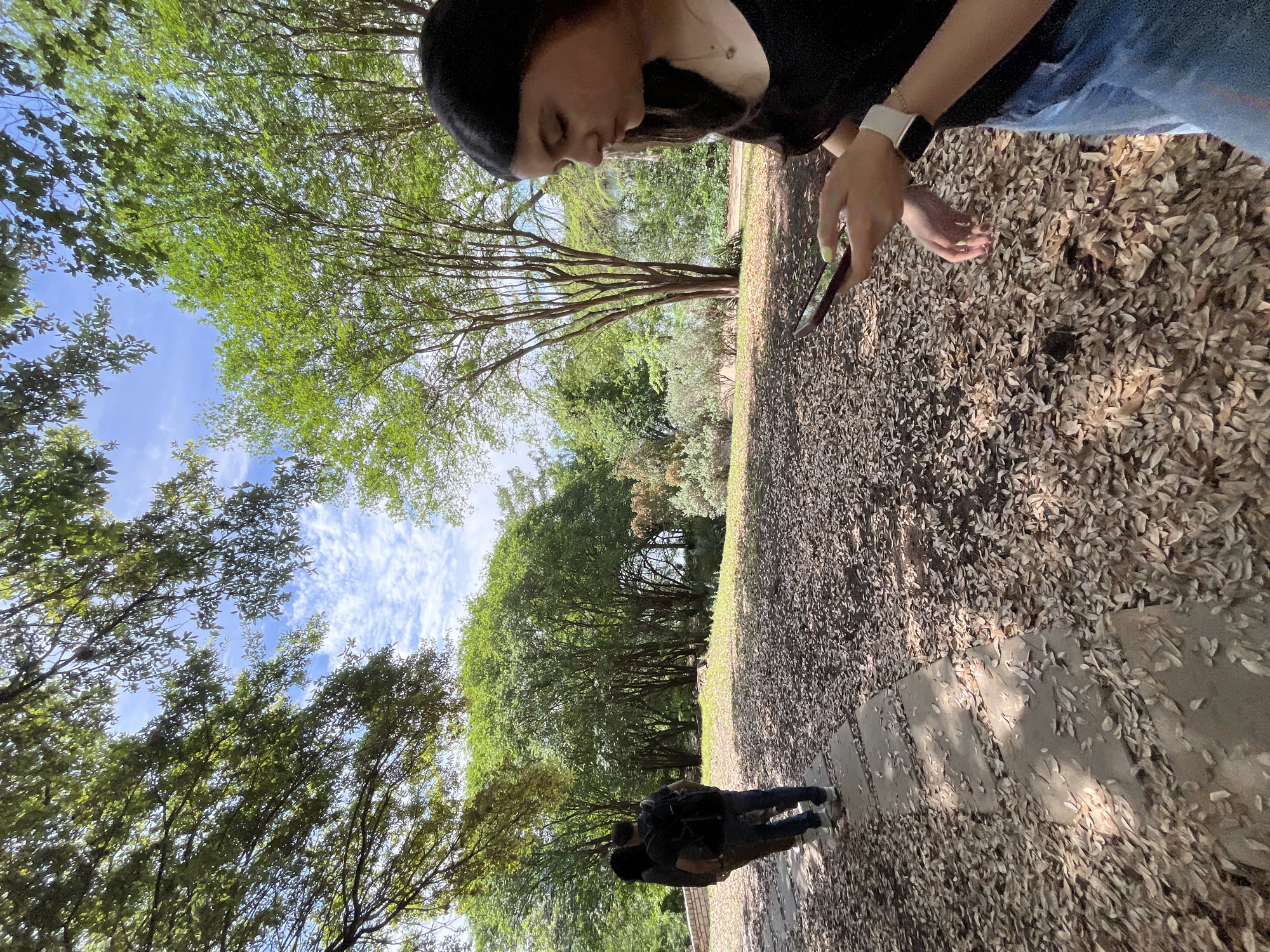 A woman is standing on a path covered in leaves in a park, looking at her phone. She is wearing a black top, blue jeans, and a black beanie. The path is lined with trees and foliage, with blue sky visible through the canopy. Two people are walking in the distance behind her. The park is likely located in Austin, United States of America.