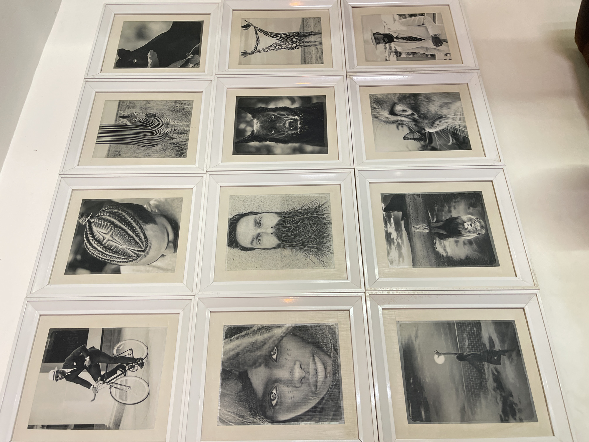 A collection of twelve framed black and white artworks is displayed in a grid of four rows and three columns on a white wall in Abuja, Nigeria. Each artwork is encased in a simple white frame, some showing minor signs of wear. The images primarily feature animals and people, often presented with artistic interpretations or unusual orientations.
The top row includes: a black panther peeking through foliage, a stylized giraffe in a savanna rotated 90 degrees clockwise, and a man in a suit and hat holding an object, also rotated 90 degrees clockwise.
The second row displays: a zebra with streaked stripes suggesting motion, a dark-furred animal (possibly a bear or dog) with its mouth slightly open, rotated 180 degrees, and a cat's face with a butterfly on its nose, rotated 90 degrees clockwise.
The third row features: a close-up of intricate braided hair, a portrait of a man with a beard stylized as grass, rotated 90 degrees clockwise, and a lion in a landscape with clouds, also rotated 90 degrees clockwise.
The bottom row presents: a man in a suit and hat riding a bicycle, rotated 90 degrees clockwise, a close-up portrait of a child's face with expressive eyes, rotated 180 degrees, and a person in mid-air reaching for a spherical object (like a ball or the moon) against a cloudy sky with a net, rotated 90 degrees clockwise.
All images are photographic or print-based, with some exhibiting a drawing or etching quality. There is no visible text in any of the artworks or on the frames. The consistent framing and black and white palette create a unified aesthetic for the diverse subjects.