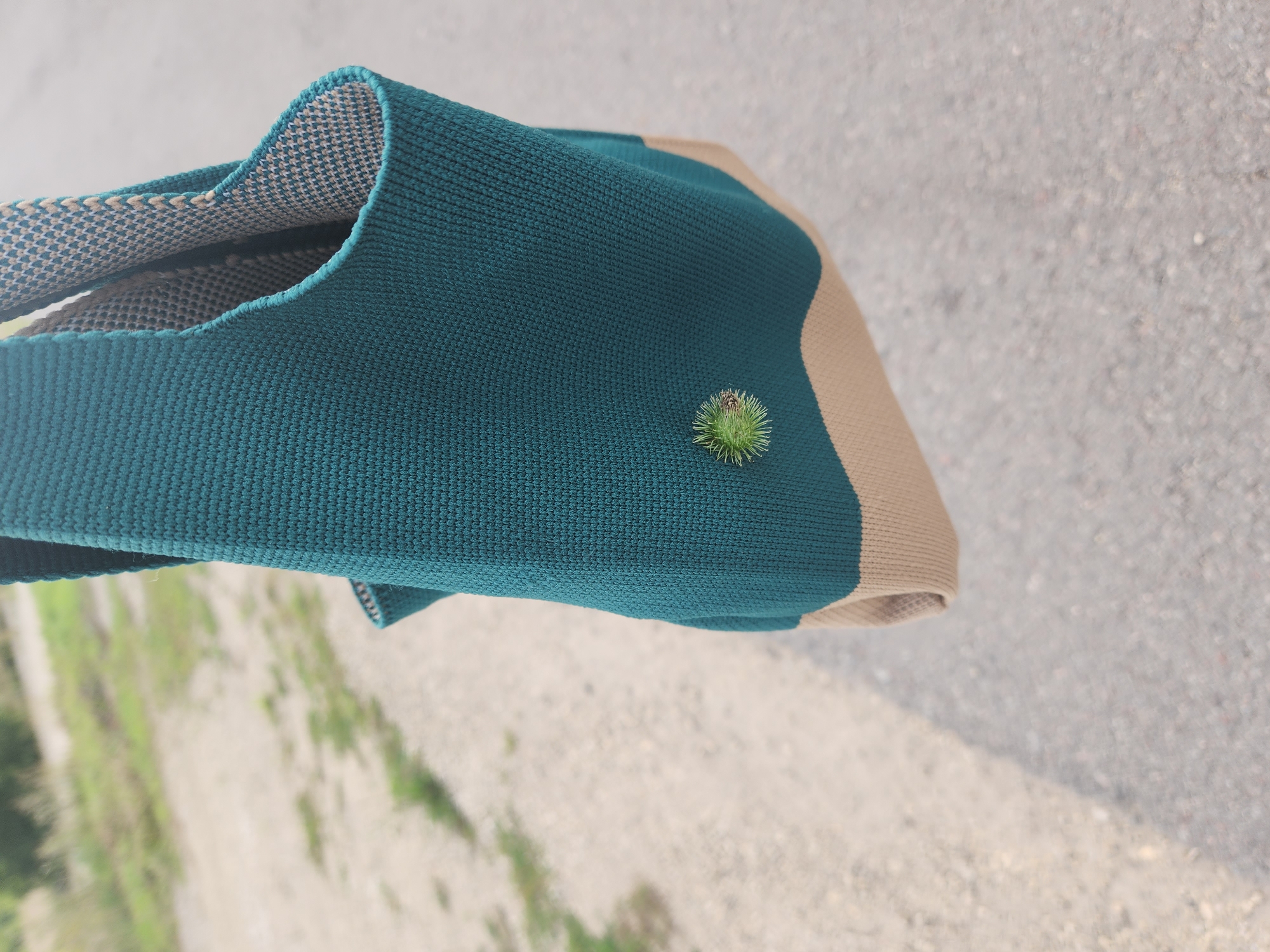 A teal and beige knitted bag is held outdoors, with a small, spiky green burr attached to the teal portion. The background consists of an asphalt road and some blurred greenery, suggesting a natural or semi-urban environment. The lighting indicates daytime. The image does not contain any identifiable landmarks that would place it specifically in Kurkino, Russia.