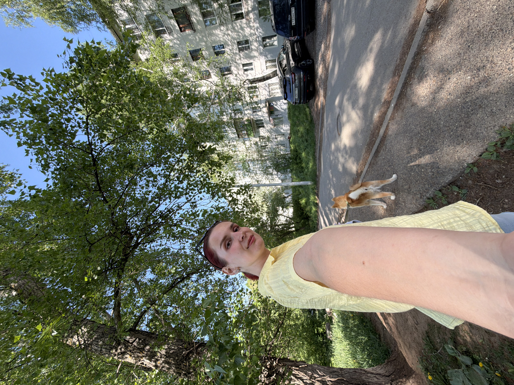 The image depicts a woman in Chaikovsky, Russia, standing outside near a tree. She wears a yellow shirt. A cat is walking on a concrete path adjacent to a road with parked cars and a building in the background. The sky is blue.