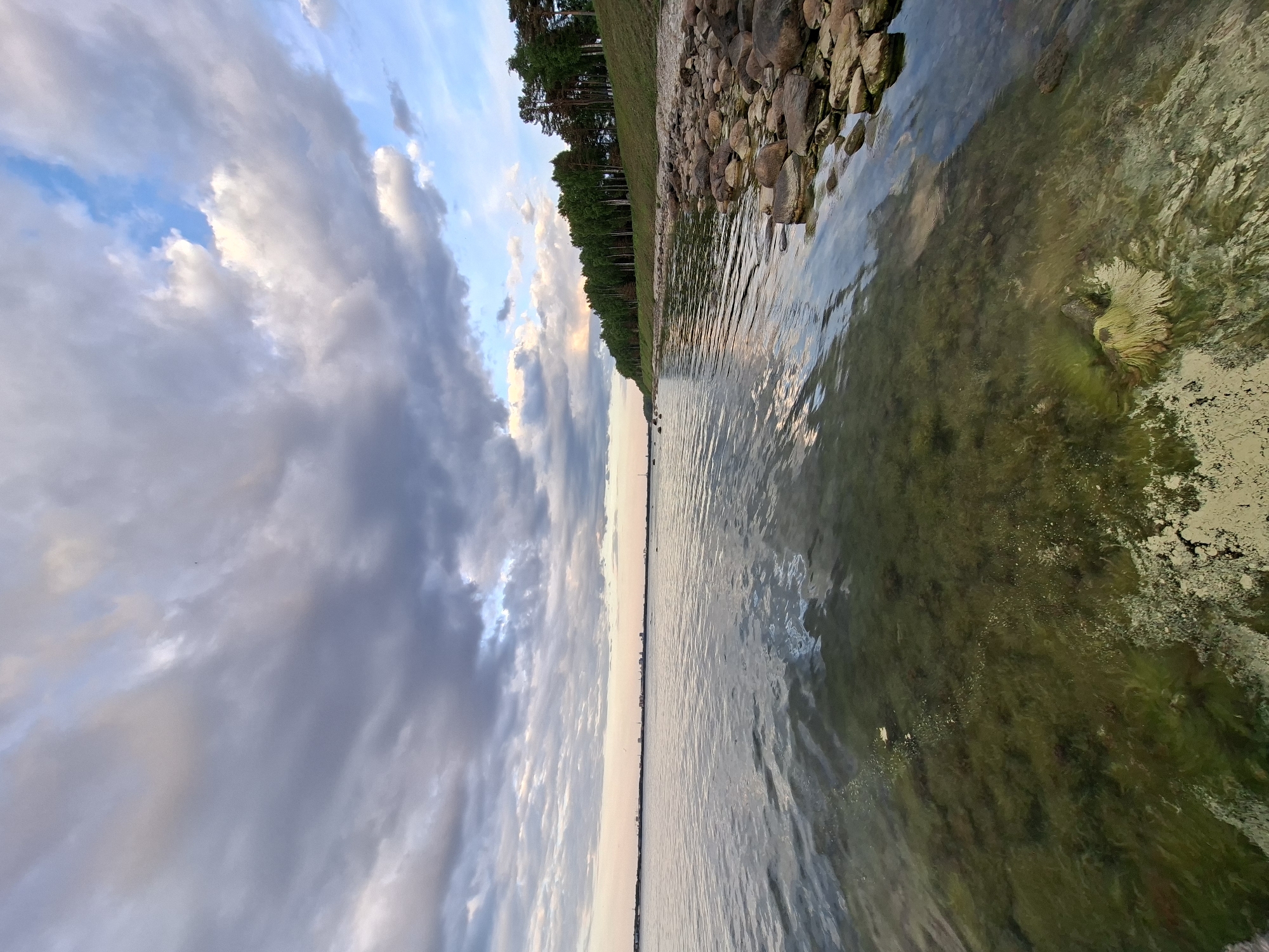 The image presents a serene natural landscape, captured at what appears to be dusk or early evening, offering a view across a wide body of water towards a distant shoreline. The scene is likely set near Tallinn, Estonia, given the context.
The upper portion of the image is dominated by a vast sky filled with a mix of light and dark clouds. Patches of clear, soft blue sky are visible between dramatic, sweeping grey and white clouds, suggesting a dynamic atmosphere with the last rays of sunlight illuminating certain areas.
The horizon line stretches across the middle of the frame, dividing the sky from the water and land. On the right side, a natural shoreline extends into the distance. This bank is covered in green grass and a dense line of tall evergreen trees, likely pines, forming a dark, verdant border against the sky. Closer to the water, the bank transitions into a rocky shore, with numerous smooth, rounded boulders of various sizes partially submerged in the shallow water.
The lower half of the image is occupied by a calm body of water, showing gentle ripples on its surface, which softly reflect the sky's subdued light. In the shallower areas near the rocky bank, the water has a greenish-brown tint, revealing visible submerged algae or aquatic plant growth and some lighter, sandy patches on the bottom. Further out, the water appears darker and deeper. Along the distant horizon, a faint, low-lying silhouette of buildings or an urban area can be discerned, indicating a distant city or town.
There are no people or specific activities depicted, emphasizing the tranquil and natural beauty of the coastal or lakeside environment as daylight fades. No visible text is present.