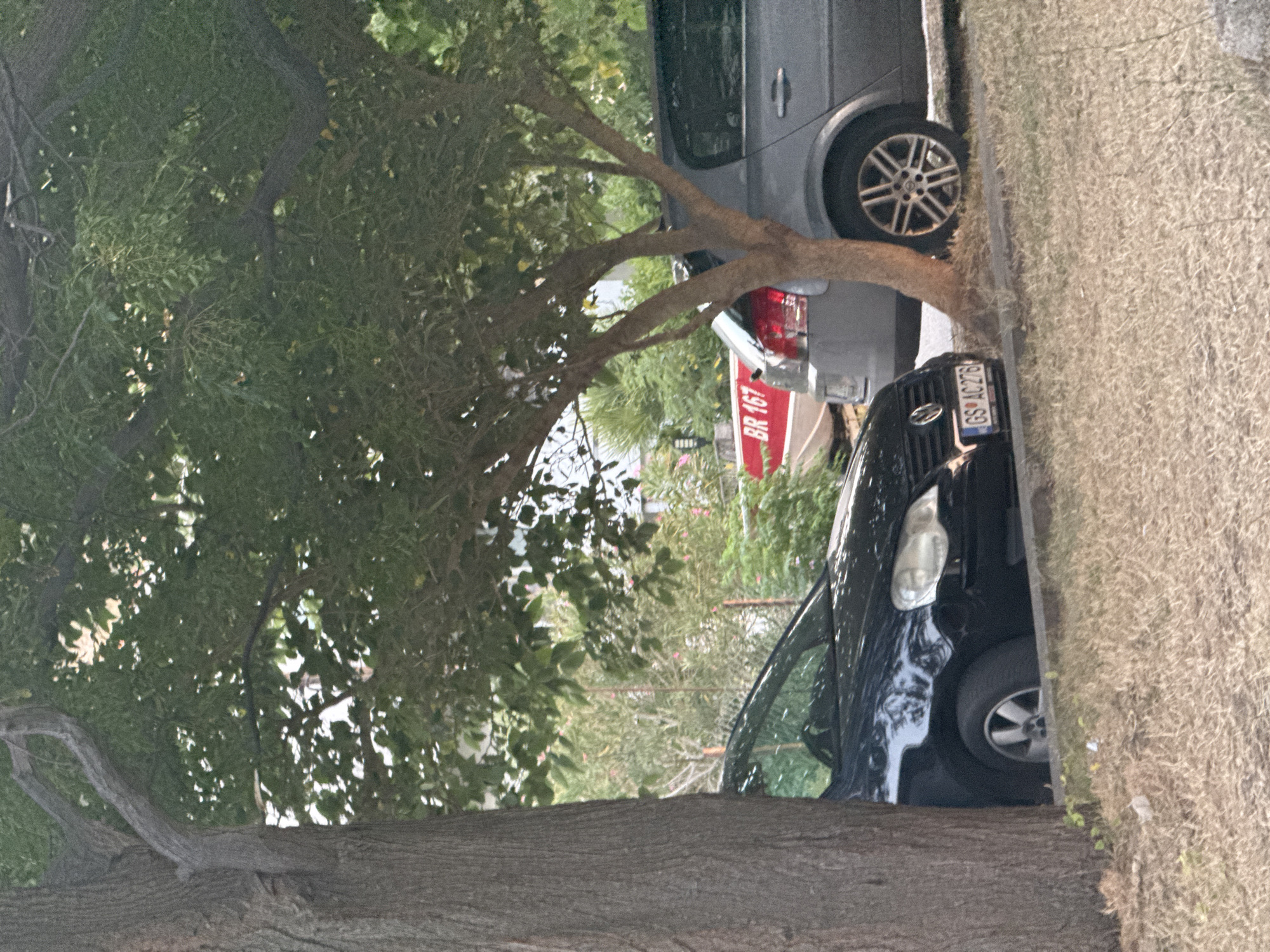 In Sutomore, Montenegro, two cars are parked on a gravel shoulder next to a street. A dark-colored sedan, identified by the license plate "GS AC276," is parked on the left, partially obscured by a large tree trunk. To its right, a silver hatchback is parked, with the rear end of a red boat with white lettering, reading "BR 167," visible between the two cars. The scene is under the canopy of a leafy tree, with the background showing more trees and foliage, and a hint of buildings. The ground is covered in dry grass.