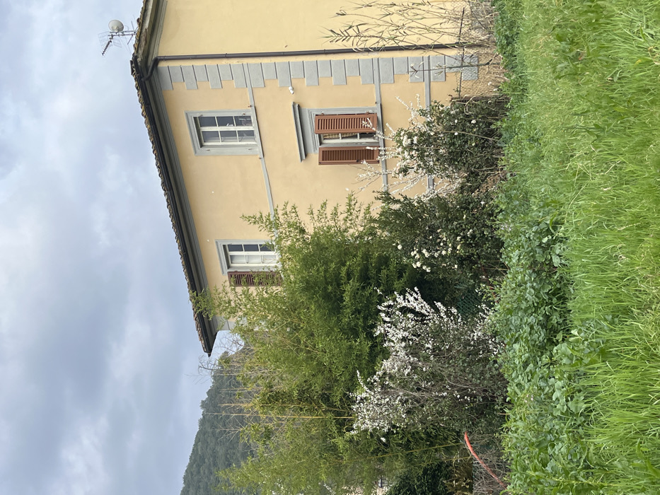 The image displays a two-story residential building situated in Monsummano Terme, Italy. The structure features a light yellow stucco facade accented with grey architectural trim, including horizontal bands, window frames, and decorative corner quoins. Four rectangular windows with white frames are visible; two on the upper floor and two on the lower. The upper left and lower right windows are equipped with partially open brown louvered shutters. A terracotta-tiled roof, bordered by a dark gutter system, supports a television antenna and a small satellite dish on its right side. A small white security camera is affixed to the facade below the upper right window.
The foreground consists of a dense, unmaintained expanse of green grass and assorted low-lying plants. Behind this, a thick layer of diverse vegetation includes prominent tall, leafy green bamboo stalks to the left of the building, partially obscuring its lower left side. Several bushes bearing white blossoms are interspersed with other dark green bushes, some also exhibiting small white flowers. A segment of a green mesh fence is partially visible within the vegetation. A red hose or pipe lies partially visible on the far left, near the ground. Tall, dried reeds or grasses are present on the far right. A tree-covered hill or mountain range forms the distant background on the left, beneath an overcast, light grey sky. No individuals or active interactions are present.