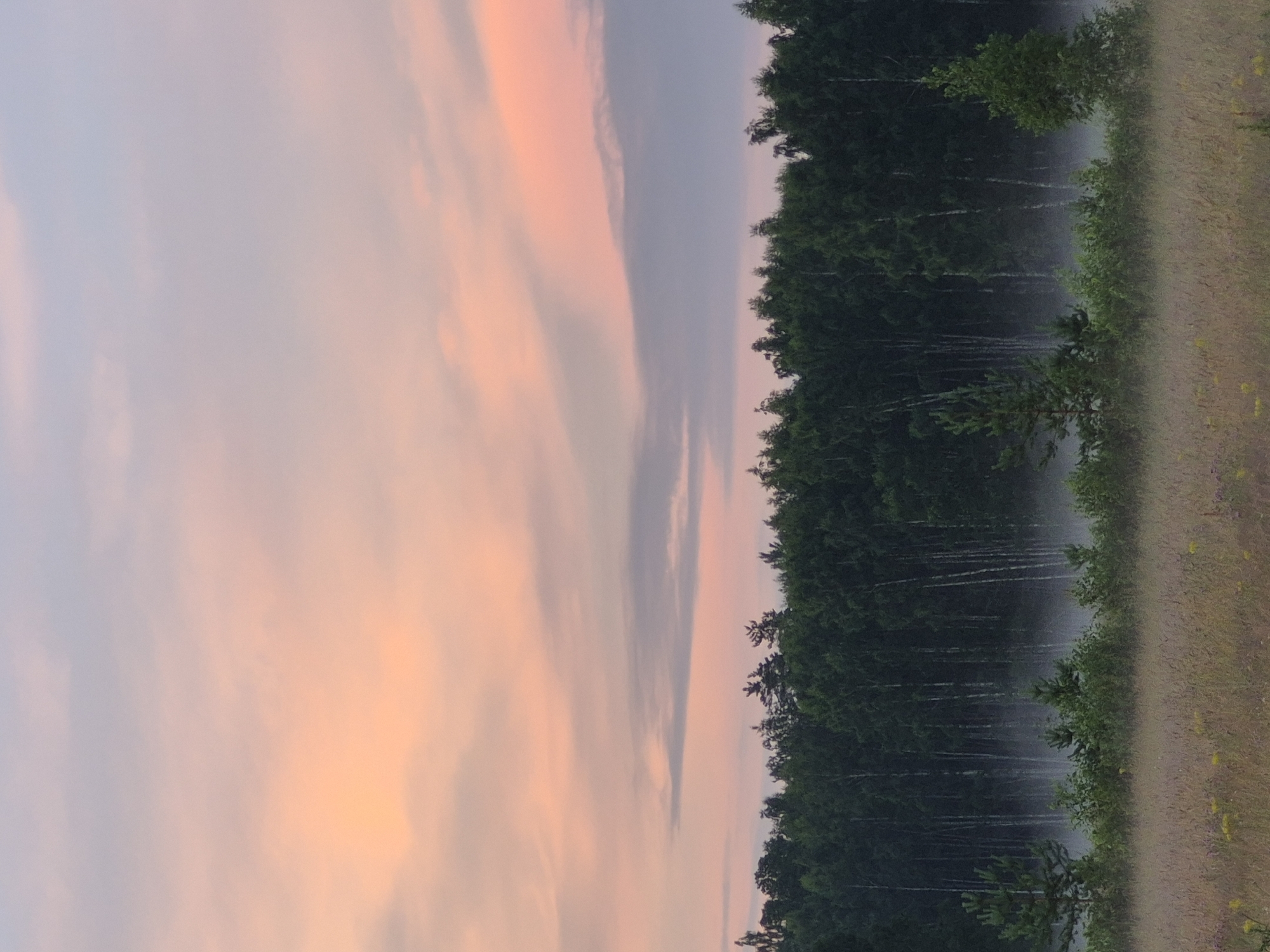 The image depicts a serene natural landscape at dusk or dawn. The sky is filled with soft, pastel hues of pink and pale blue, with wispy clouds stretching across. Below the sky, a dense forest of dark green trees forms a horizontal line. A low-lying mist or fog is visible at the base of the forest, adding a sense of depth and atmosphere. In the foreground, a field of dry grass and scattered wildflowers stretches out, with the colors muted by the fading light. The scene is calm and tranquil, with no people or animals present. The location is specified as being in Sooblase, Estonia, suggesting a rural or semi-rural setting characterized by extensive forests and open fields.