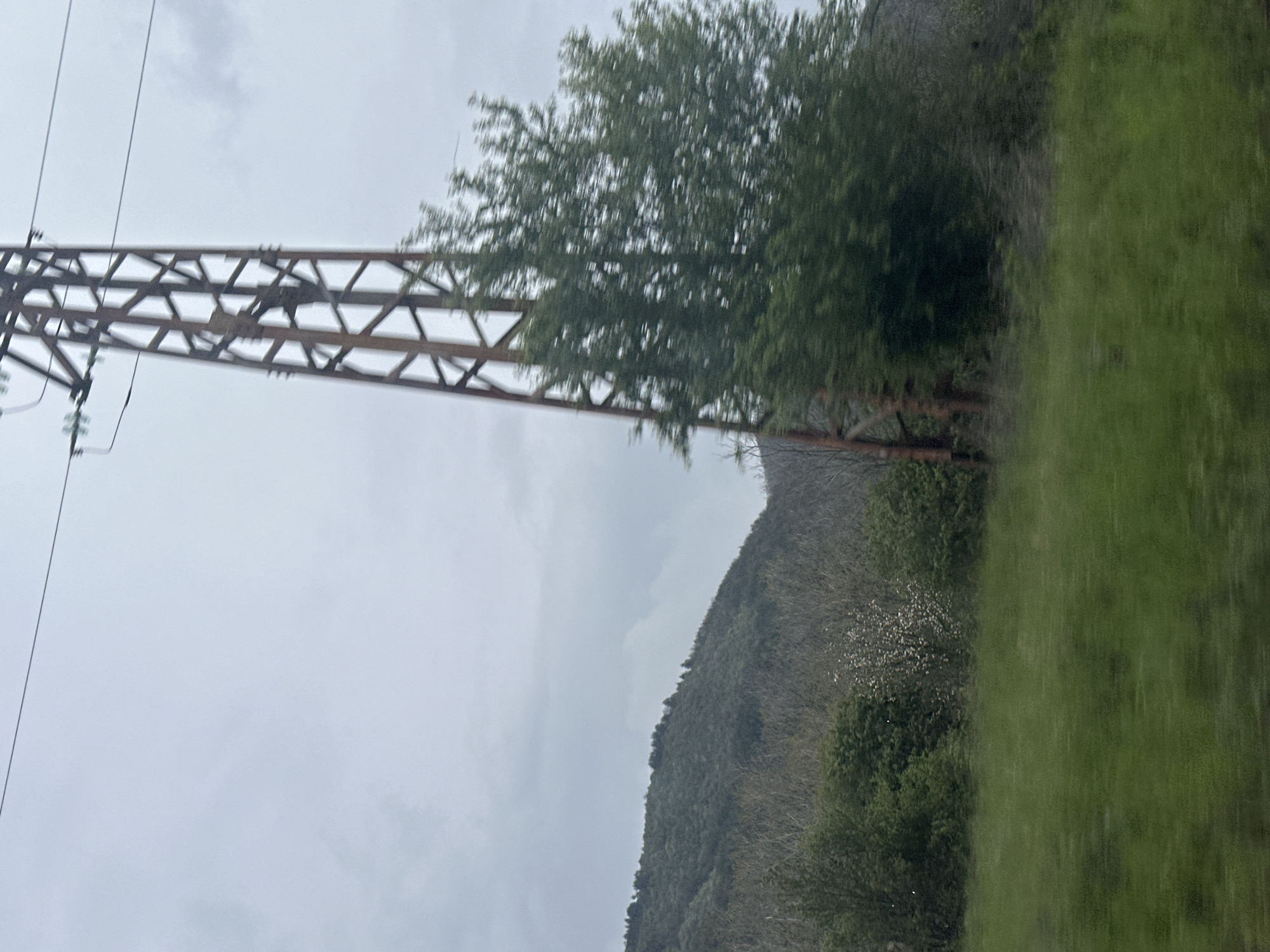 A slightly out-of-focus, horizontally-oriented photograph shows an overcast landscape. A metal power line tower is situated on the left side of the frame, with power lines strung from the top. A tree partially obscures the tower. In the background, a hillside covered in trees is visible. In the foreground, there is green vegetation. The location is possibly near Mirkovo, Bulgaria, judging from the landscape.