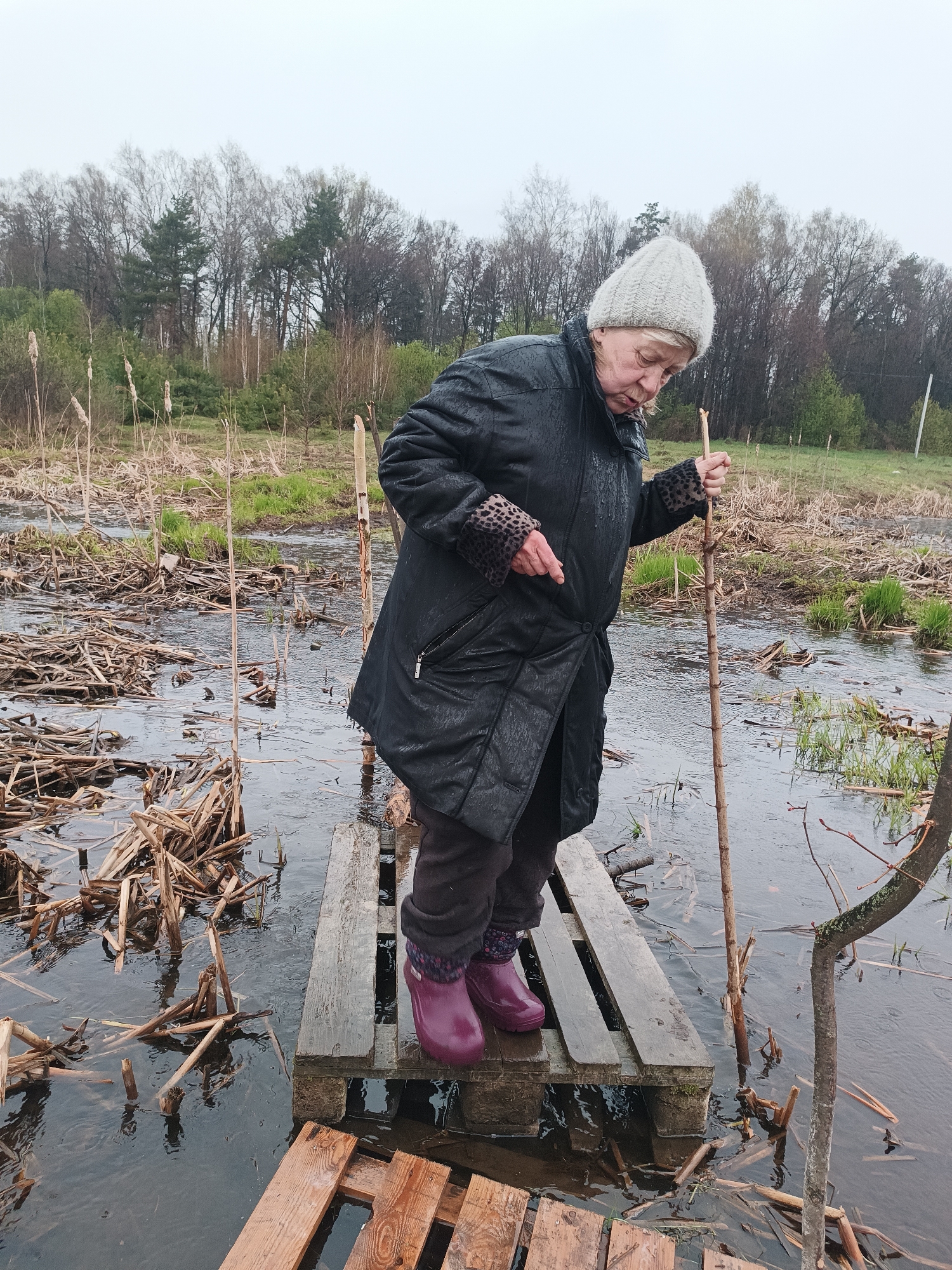 A woman stands on a makeshift wooden bridge over a flooded area. She is wearing a black coat with animal print cuffs, dark trousers, purple rubber boots, and a knitted hat. She holds a wooden stick in her right hand, using it for balance. The flooded area contains reeds and submerged debris. Behind her, a line of trees is visible in the background under an overcast sky. The location is Motyakovo, Russia.