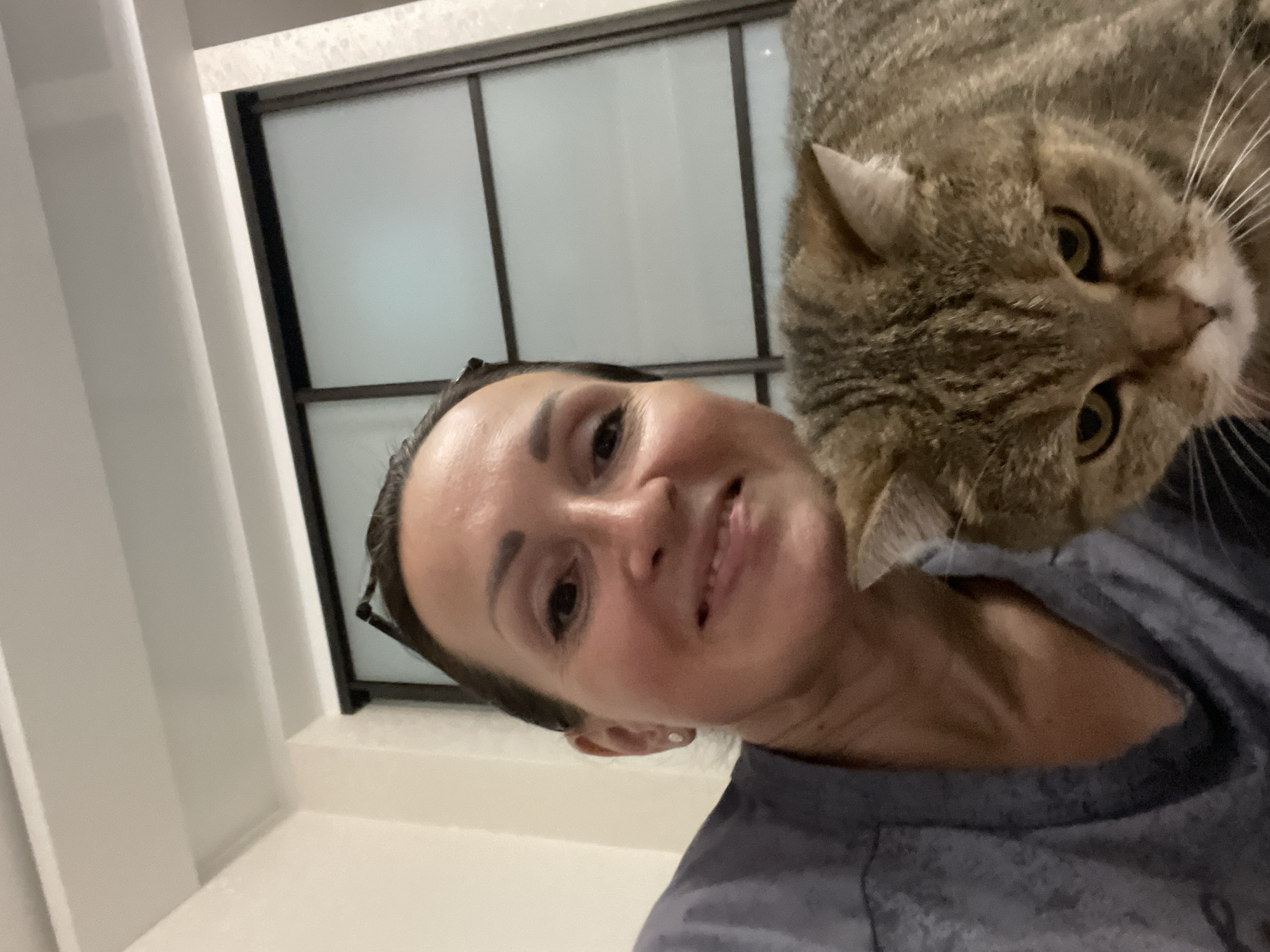 In this close-up, selfie-style image, a woman with dark hair pulled back and glasses perched on her head is smiling as she poses with a tabby cat. She is wearing a dark gray t-shirt. The cat, positioned in the foreground, looks down with a slightly stern expression. Behind them, a frosted glass partition with dark frames is visible. The background suggests an indoor environment with neutral-colored walls and ceiling trim. The overall lighting is soft. The location is identified as an unknown city in Russia.