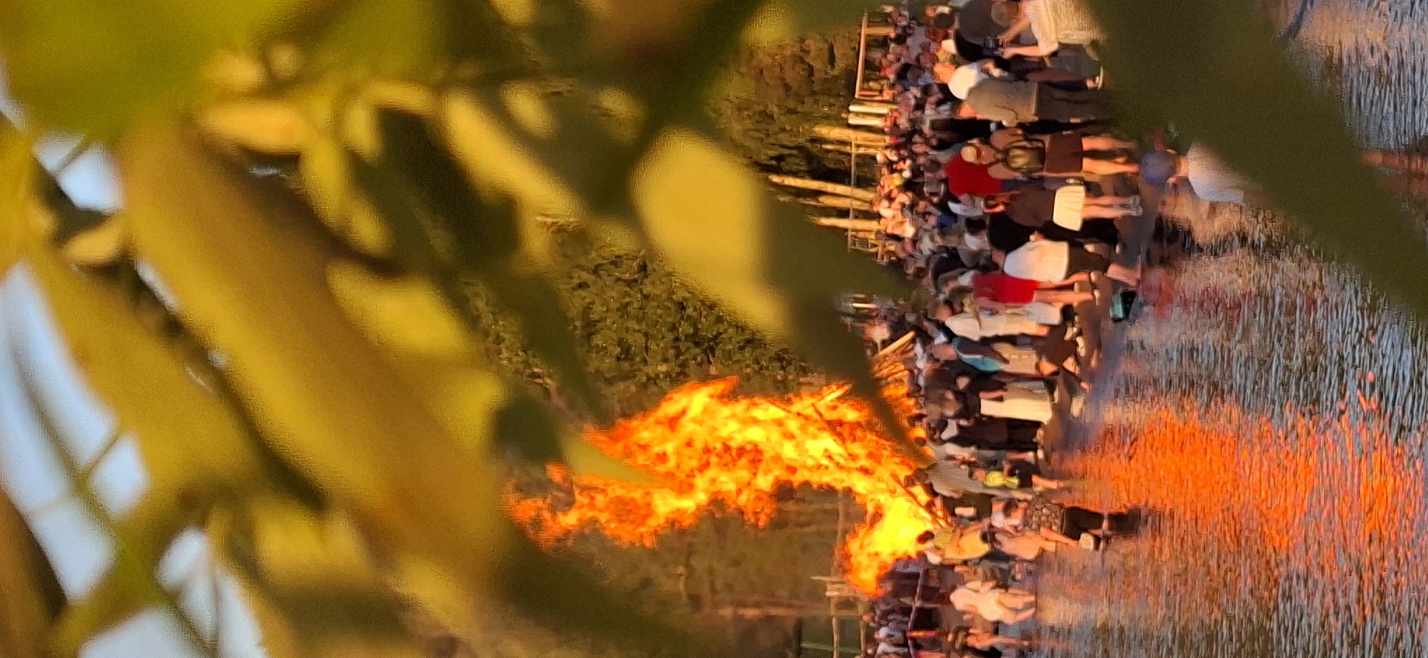 In Salpakangas, Finland, a large bonfire burns intensely by the water's edge, casting a vibrant orange glow onto the surrounding shallow water. A crowd of people are gathered, some standing in the water, observing the fire. The scene is framed by out-of-focus yellow and green foliage in the foreground. The lighting suggests it is either dusk or dawn.