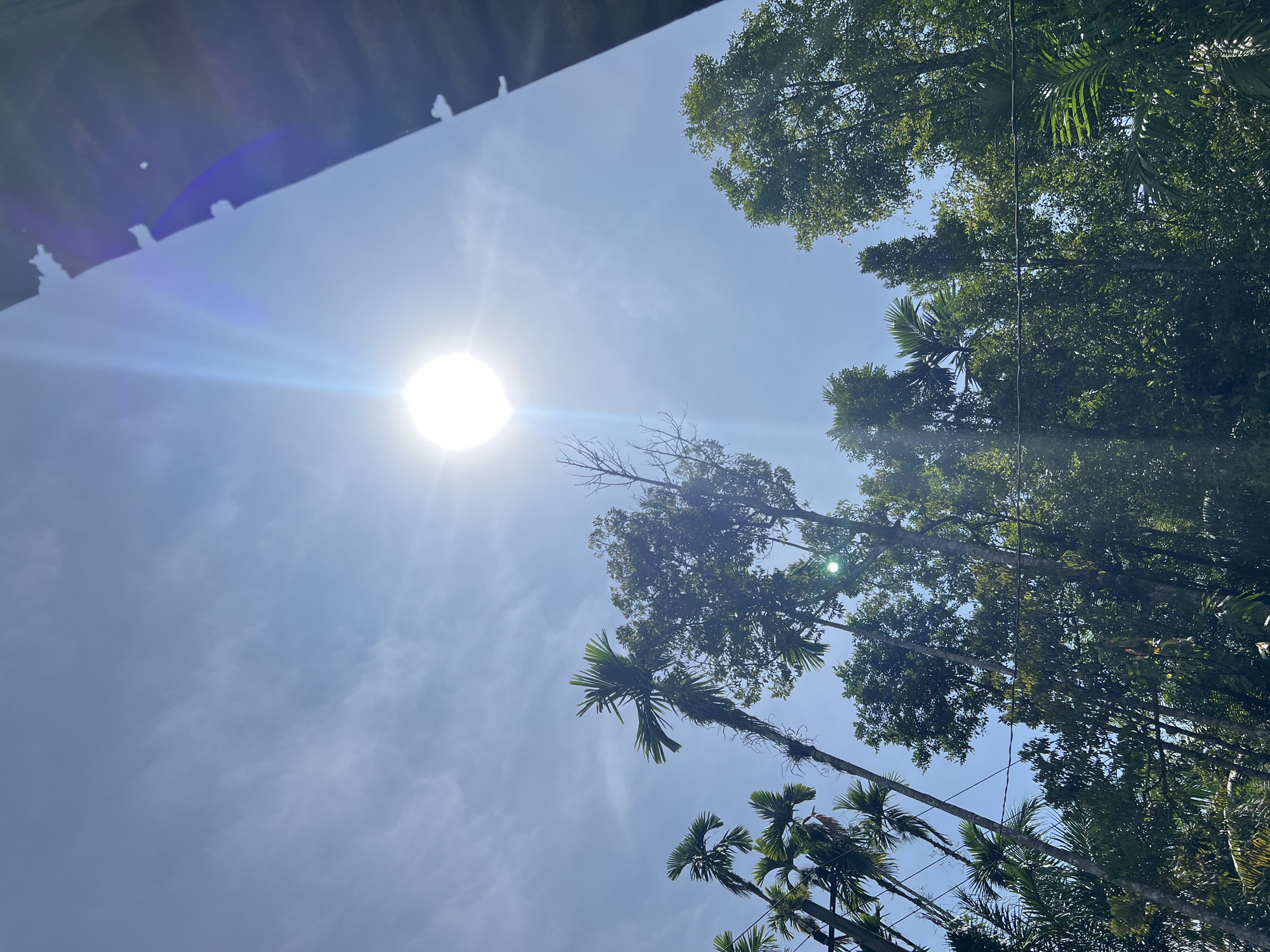 The image shows a bright, sunny day in Kilometer Delapan, Indonesia, with the sun prominently displayed in the sky. The sun is a bright, white orb with noticeable lens flare extending outwards. The sky is blue with scattered wispy clouds. In the foreground, various trees, including palm trees and other lush foliage, reach upwards towards the sky. A dark, angled structure, possibly a roof or overhang, is visible on the right side of the frame, casting a shadow and adding a contrasting element to the bright sky. The overall scene depicts a tropical environment under a strong sun.