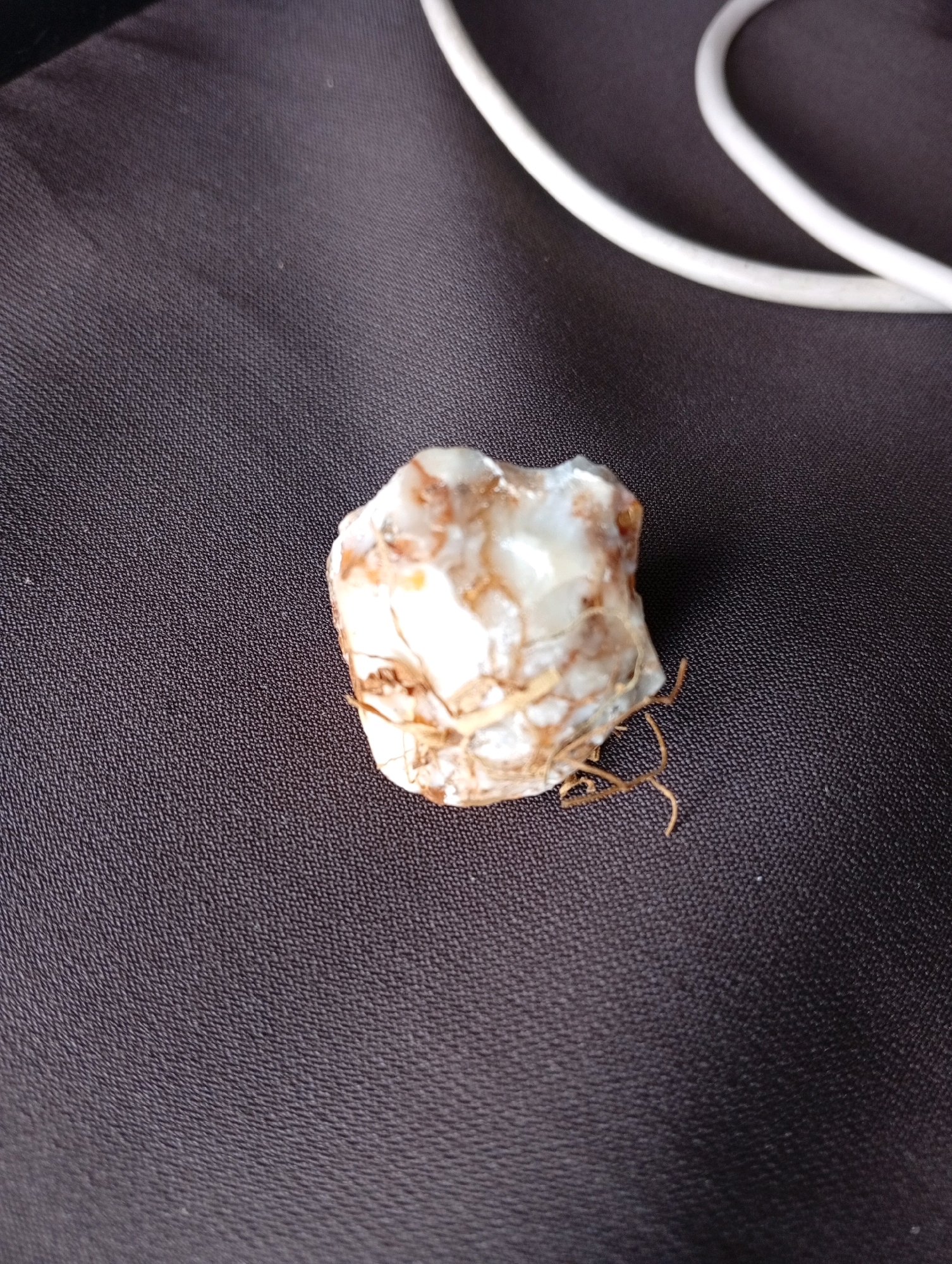 A close-up, overhead shot shows a small, light-colored bulb with brown fibrous roots protruding from its base, resting on a textured, dark gray fabric. In the upper right portion of the image, a white cable is visible, curving out of frame. The lighting casts a soft glow on the bulb, highlighting its translucent quality and varied brown and white marbling. The fabric appears to be a woven material, possibly from clothing or upholstery. There are no indications of the location within Tasikmalaya, Indonesia, nor any people or actions depicted.