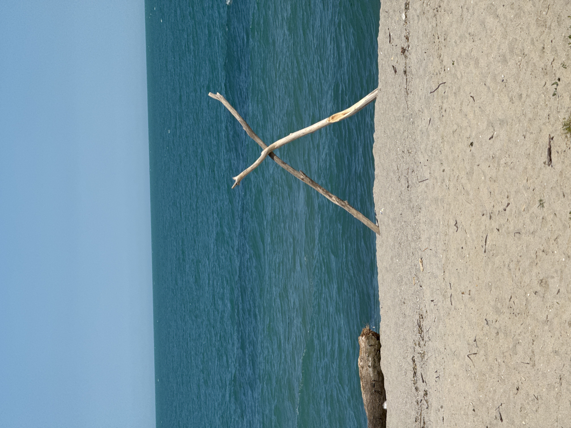 The image shows a seaside view in Varna, Bulgaria. The scene includes the blue Black Sea under a clear sky. Two sticks are crossed over the water with part of the beach visible. The beach is concrete with scattered twigs and debris. A tree stump is situated at the edge of the water near the beach. The image is oriented vertically. There are no people visible.