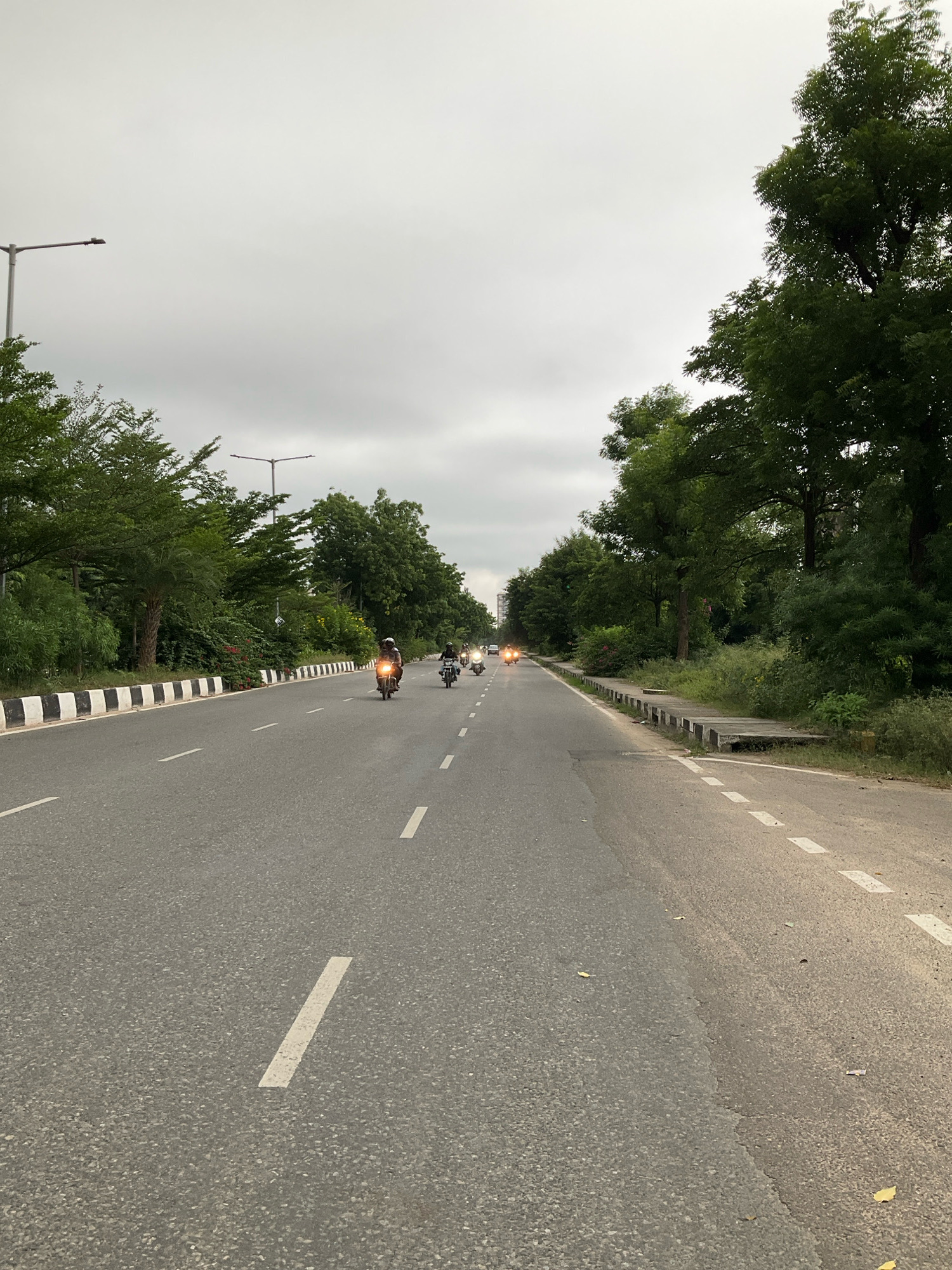 The image depicts a straight, paved road lined with trees and vegetation on both sides. The sky is overcast and grey. Several motorcycles are traveling on the road, some with riders wearing helmets. The road has white dashed lines indicating lanes and a white and black striped border on the left side. A lamppost is visible on the left side of the road, and there are street lights further down the road. The scene appears to be in a suburban or semi-urban area. Given the context provided, the location is identified as the Jaipur Municipal Corporation, India.