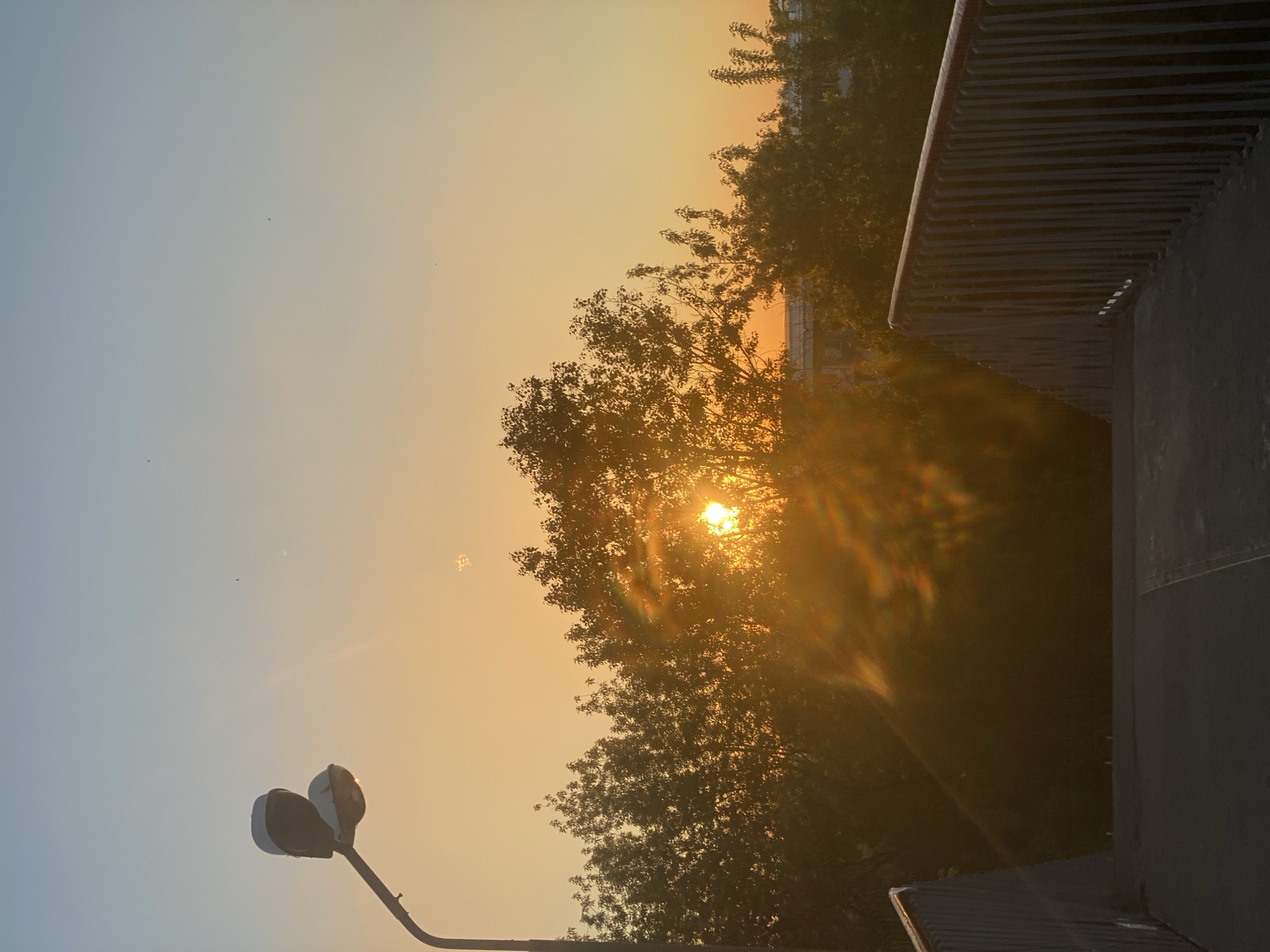 The image captures a sunset scene in Novokuznetsk, Russia. The sun is partially obscured by trees, creating a silhouette effect. A street lamp is visible in the lower left corner. A building appears on the right side of the picture. The sky graduates from blue to orange due to the sunset.