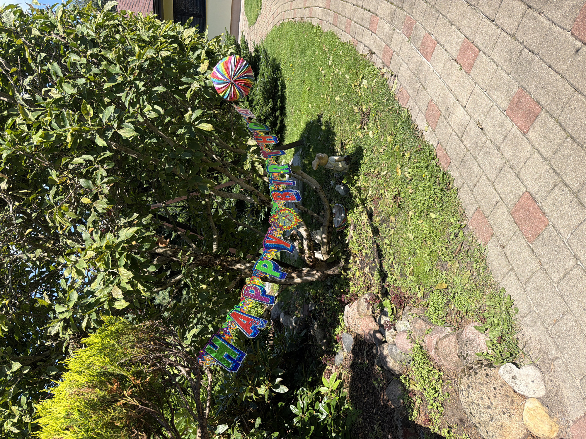 The image depicts an outdoor scene in Baloži, Latvia, likely a backyard or garden. A colorful "HAPPY BIRTHDAY" banner is strung across the branches of a leafy tree. To the right of the banner, a multi-colored paper lantern hangs from another branch. The ground is covered in green grass and patches of dirt, with a stone pathway curving through the scene. Several large rocks and smaller decorative garden figures, including a rabbit statue, are visible near the base of the tree. In the background, a portion of a house with a red-tiled roof is visible. The lighting suggests it is a sunny day.