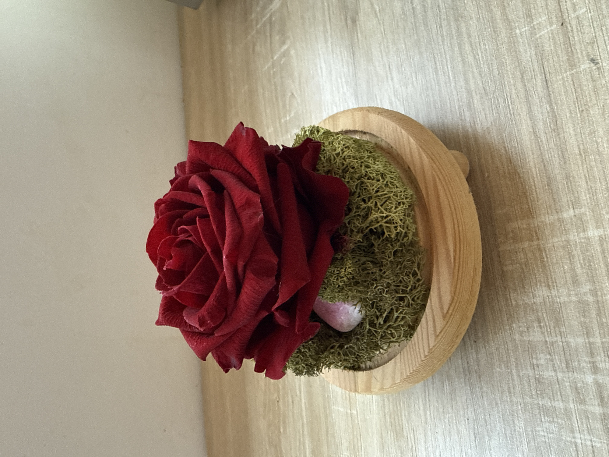 A close-up shot showcases a preserved red rose atop a bed of green moss, which is nestled in a small, light-colored wooden bowl. The bowl has a slightly raised edge and sits on a wooden surface that appears to be a table. A small, pale pinkish-white stone is partially visible beneath the rose, embedded in the moss. The background is a plain, light-colored wall. The image was taken in Chiajna, Romania.
