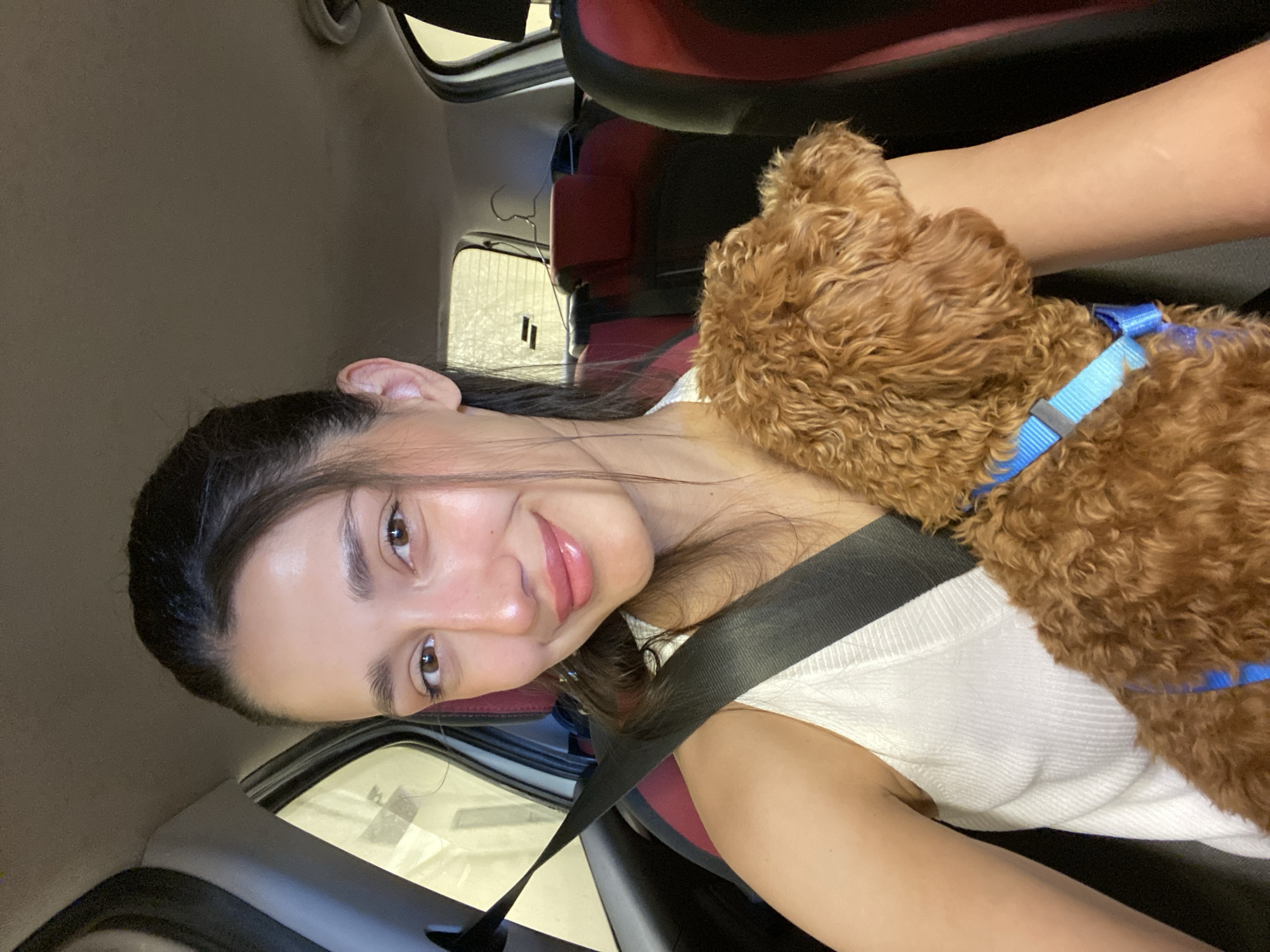A young woman with dark hair and brown eyes is sitting in the driver's seat of a car, wearing a seatbelt and a white tank top. A brown poodle with a blue harness is resting on her lap. The interior of the car is visible, including the red car seats and the car door. The location is Sotonići, Montenegro, as determined by geotags.