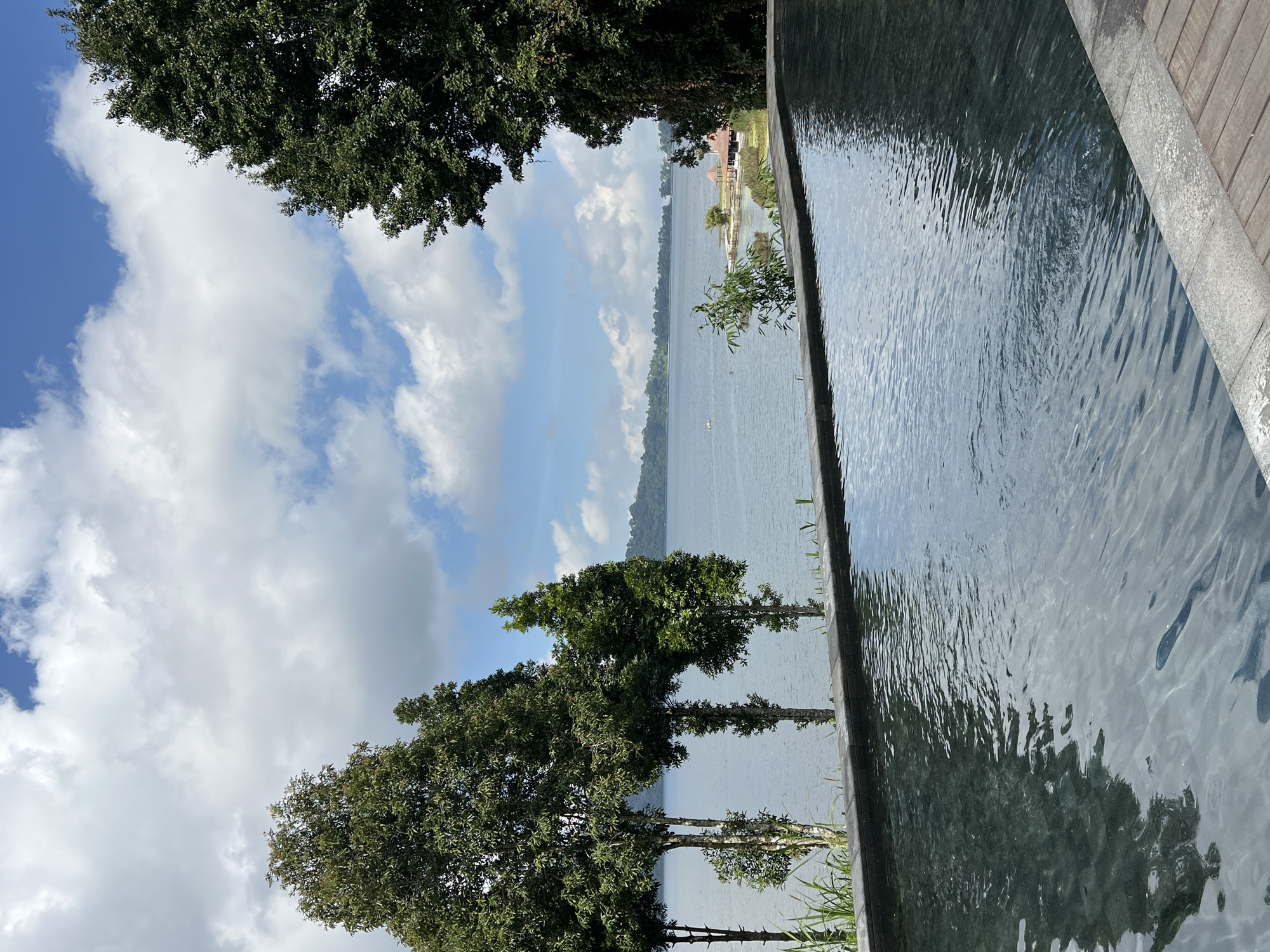 A wide-angle, eye-level shot captures an infinity pool in the foreground, its surface reflecting the sky and surrounding trees. Beyond the pool, a serene lake stretches into the distance, bordered by lush green hills under a partly cloudy sky. Several tall, slender trees stand in a line along the edge of the lake, adding to the natural beauty of the scene. In the background, a few buildings with reddish-brown roofs are visible on a small peninsula, suggesting a resort or village. The overall atmosphere is tranquil and picturesque, characteristic of a vacation destination in Baturiti, Indonesia.