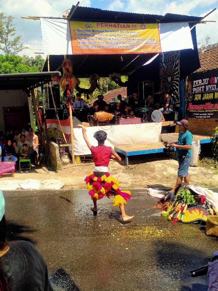 An outdoor cultural performance is underway on a wet asphalt road in Tawangsari, Indonesia. The central figure, a barefoot performer, possibly a young male, is captured mid-dance with a raised right arm and left leg, facing left. He wears a red sleeveless top, a white waist wrap, and a voluminous, multi-layered skirt-like garment adorned with yellow, pink, and red fringes.
Behind the performer, an elevated wooden stage hosts a musical ensemble consisting of several male musicians playing traditional instruments, including a kendang drum and cymbals. Above the stage, a large yellow banner prominently displays "PERHATIAN !!!" (Attention !!!) in red text, followed by rules in Indonesian. To the right of the stage, a black banner advertises a "Seni Jaran Barong" (traditional horse dance art) event. Traditional masked effigies or headdresses are mounted on poles near the stage.
To the left of the scene, an audience, including adults and children, is seated on chairs and benches, observing the performance. To the right of the performer, a man in a blue-green shirt and a baseball cap is actively filming the event with a video camera. Adjacent to him, a pile of colorful traditional performance props and a woven basket rests on the ground. The asphalt road is visibly wet and reflects light, with yellow grains or confetti scattered across its surface. The environment is open-air, under a clear sky with scattered clouds, suggesting daylight.