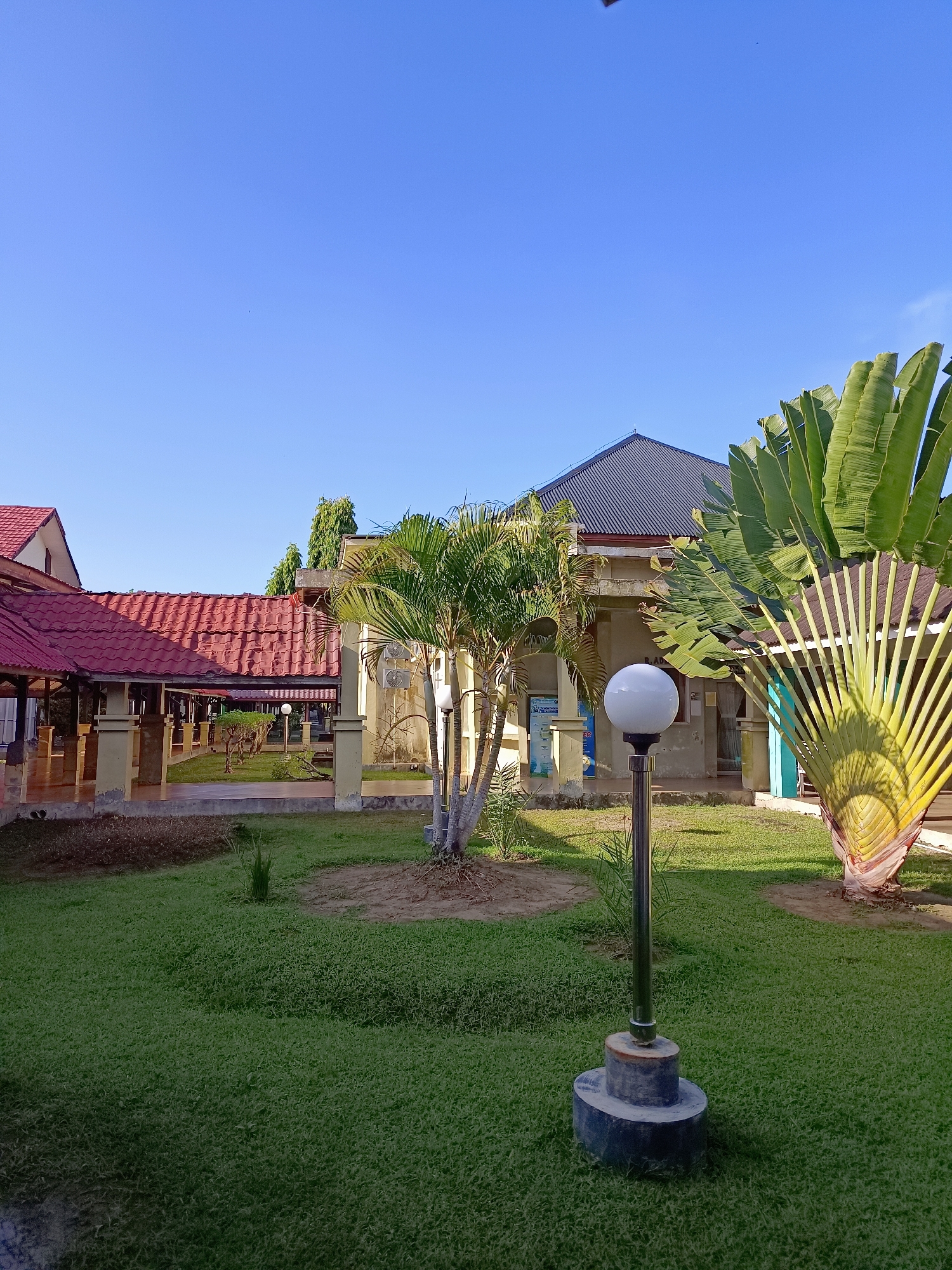 The image depicts an outdoor scene in front of a building complex under a clear blue sky. The foreground features a well-maintained lawn with a metal lamppost with a white spherical light fixture on a concrete base. To the right, a large, distinctive fan-shaped palm tree, likely a Traveler's Palm, dominates the view with its large green fronds. Behind the palm tree and lamppost, a building with a dark, pitched roof is visible, along with sections of lighter colored walls. To the left, a building with a red tiled roof and covered walkways with columns can be seen. The walkways appear to lead to an interior area where several small trees are planted. The overall environment suggests a public space, possibly a school, administrative building, or community center, in a tropical or subtropical region. Based on the context provided, the location is Mesjid Reuntoh, Indonesia. There are no people visible in the image. The scene is peaceful and bathed in natural sunlight.