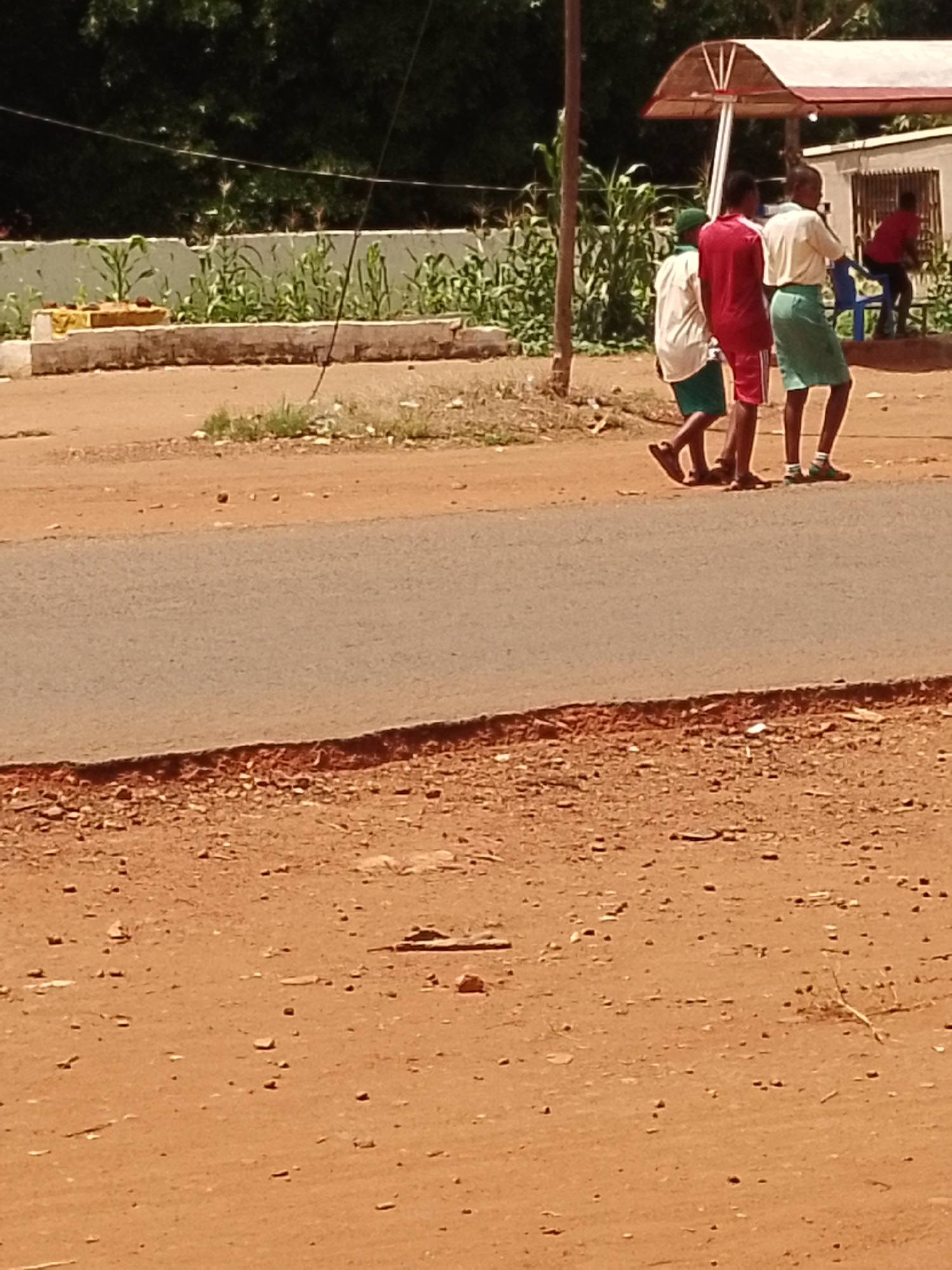Three people are walking on a dirt road in front of a concrete planter with some green plants. In the background, there is a building with a red roof and a basketball hoop. The weather appears to be sunny and the time of day is daytime. The individuals are dressed in casual clothing. One person is wearing a red shirt and shorts, another is wearing a white shirt and green shorts, and the third person is wearing a white shirt and a teal skirt. They are all walking away from the camera.