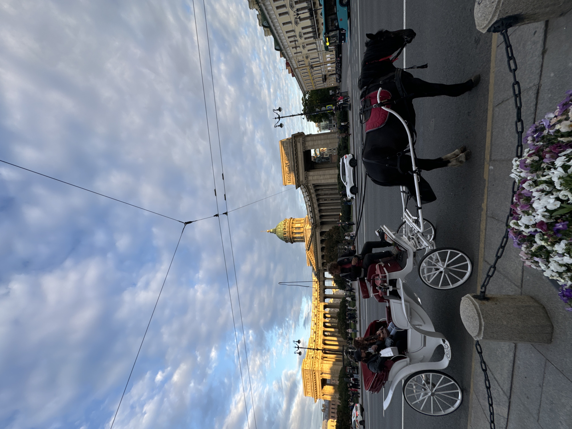The image depicts a horse-drawn carriage on a street in front of Kazan Cathedral in Saint Petersburg, Russia. The horse, which is black and wearing a red saddle pad, is harnessed to a white carriage with red upholstery. Two people are seated in the carriage. The driver, a man with curly hair, is seated at the front. The cathedral, a prominent landmark with a large green dome and colonnades, is visible in the background, bathed in the warm light of the setting sun. The sky is partly cloudy with streaks of blue and white. Other elements in the scene include a lamppost, cars, a bus, and pedestrians on the sidewalk. A chain-link fence and a planter with flowers are in the foreground.