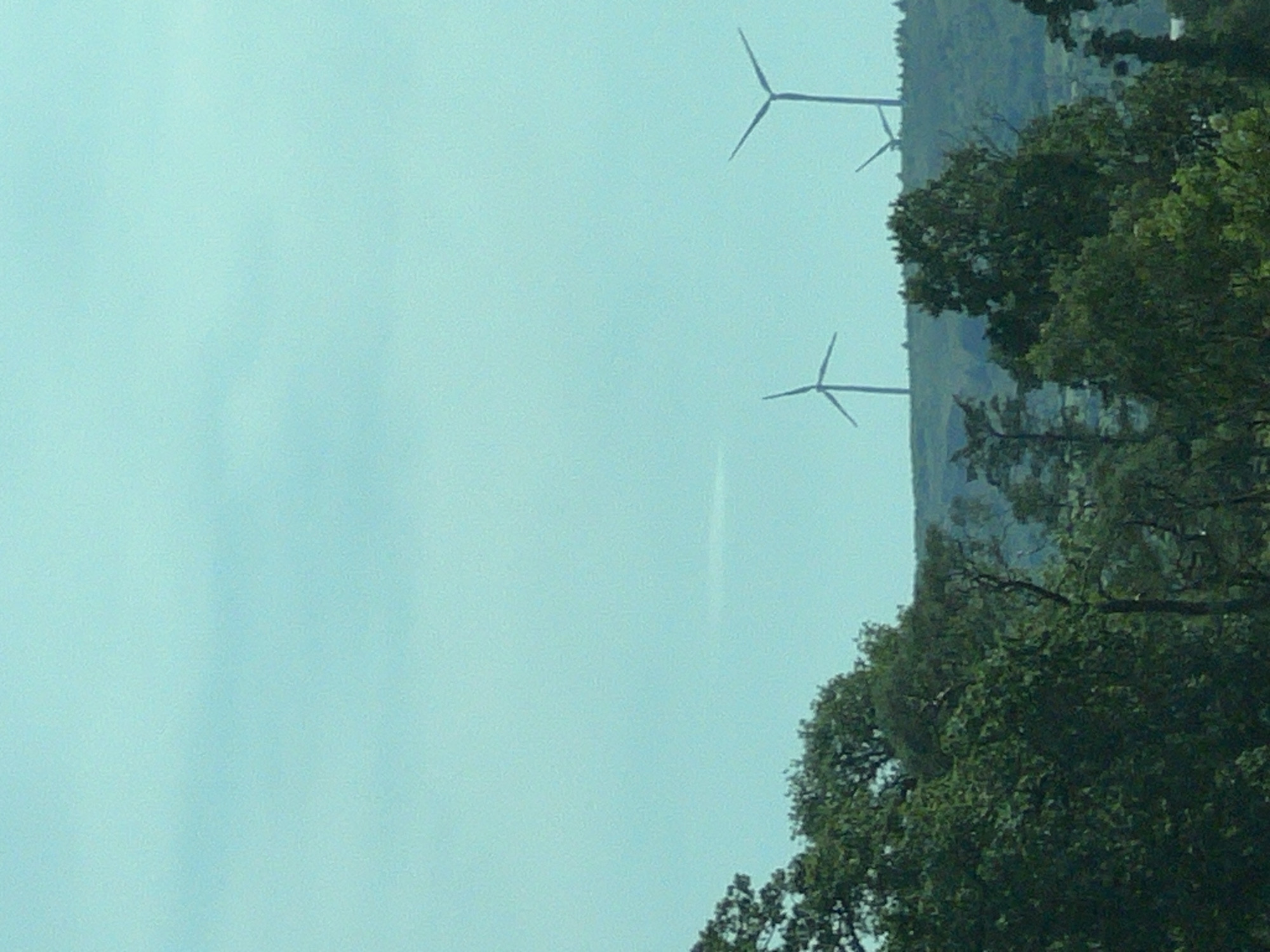 The image depicts a rural landscape with a clear, pale blue sky dominating the upper portion. In the middle ground, a low, rolling hill is visible, topped with lush green trees and vegetation. Three wind turbines are situated on the crest of the hill, silhouetted against the sky. The wind turbines are tall structures with three blades each, facing in different directions, indicating they are actively generating power. The foreground is filled with the dense foliage of trees, which are dark green and appear to be deciduous. The overall impression is one of a serene, natural environment with modern energy infrastructure integrated into the landscape. There are no people visible in the image. The location is identified as Derrylin, United Kingdom.
