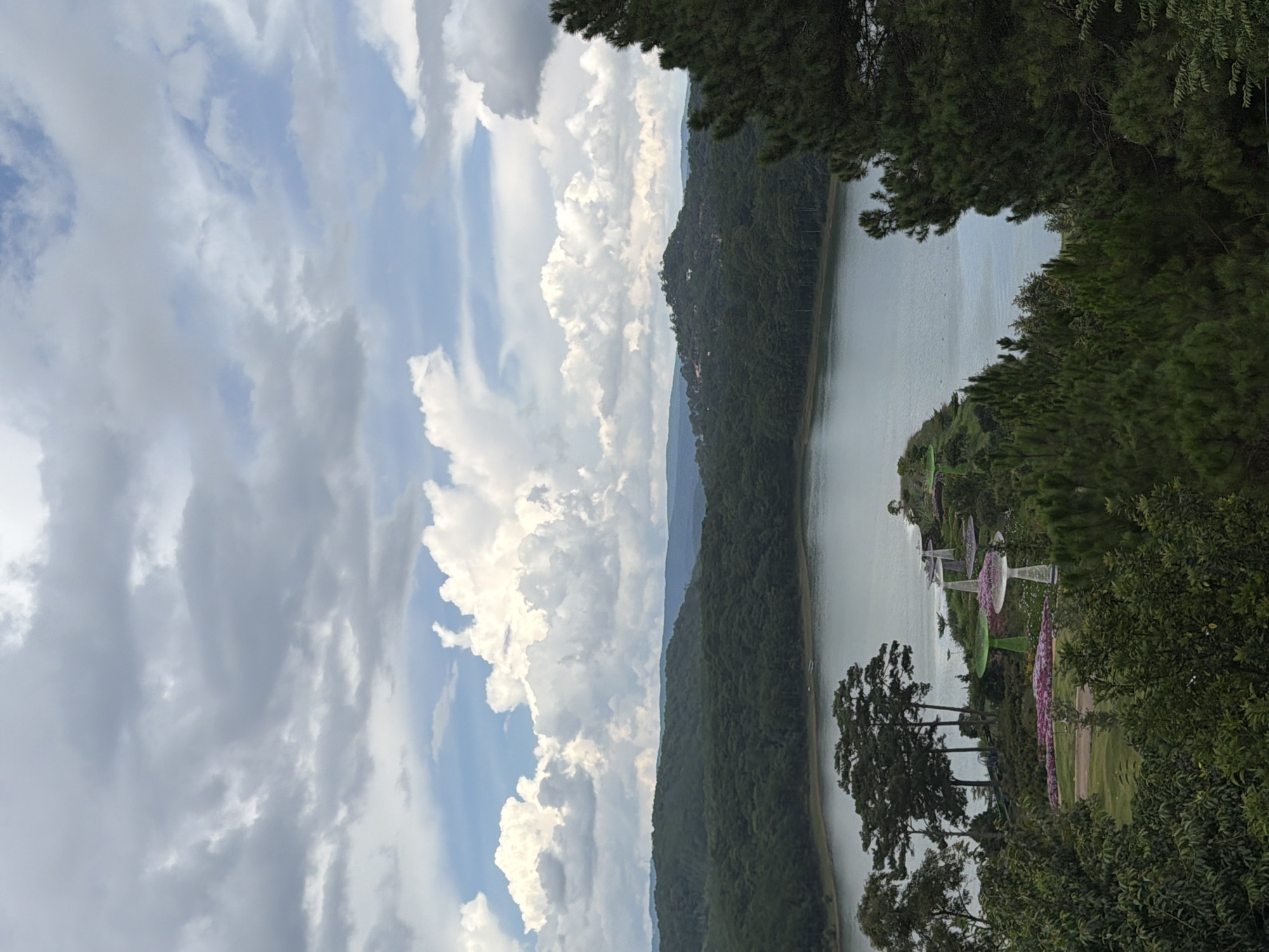 This is a medium shot, high-angle, vertical photograph taken on an overcast day in Da Lat, Vietnam. The scene depicts Xuan Huong Lake, a large artificial lake in the heart of Da Lat, surrounded by lush green hills covered in dense pine forests. The foreground is dominated by the dark green foliage of pine trees and other vegetation, obscuring the lower part of the frame. In the middle ground, a man-made island or peninsula juts out into the lake, adorned with a garden featuring rows of pink flowers and several modern, mushroom-shaped art installations with green tops. A few trees stand on the edge of this area, casting shadows on the lawn. The lake itself is calm and reflects the overcast sky, with several small boats visible in the distance. The background consists of rolling hills covered in dark green trees, receding into the distance and meeting the cloudy sky. The sky is filled with a mix of dark grey and bright white clouds, with patches of blue sky visible between them. There are no people or animals clearly visible in the image.