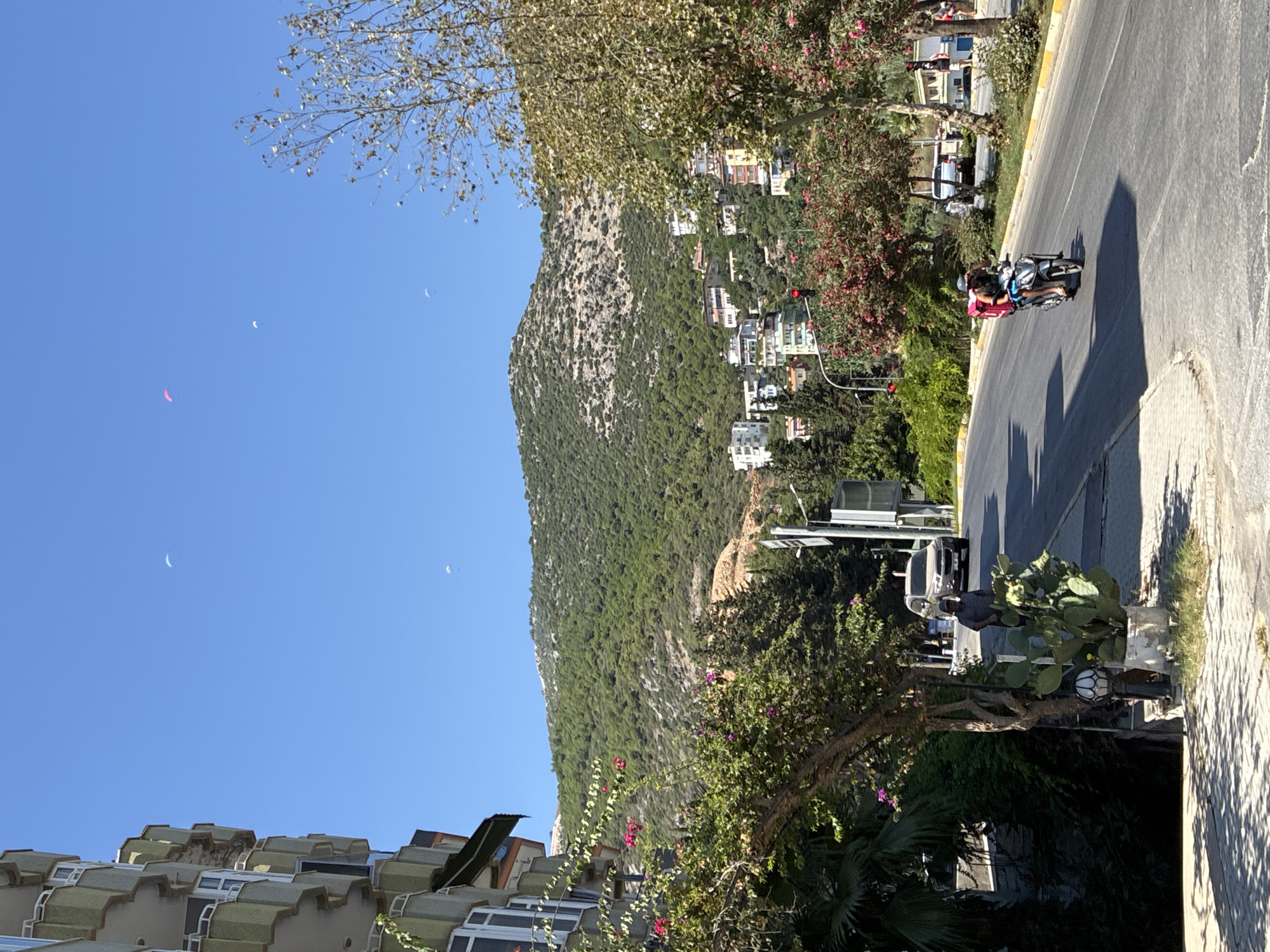 The image depicts a street scene in Alanya, Turkey, on a clear, sunny day. A multistory building with balconies is visible on the left side of the frame, partially obscuring a lush green hillside dotted with white buildings. Several paragliders are present in the bright blue sky above the hill. A paved road runs through the foreground, with a motorcycle carrying a pink insulated delivery bag and a rider wearing a hat and blue shorts moving away from the camera. A person stands near a parked car on the right side of the road, and trees with green and pink foliage line the street. A large cactus plant in a pot is situated on the sidewalk. The scene suggests a warm, active day in a coastal city with mountainous terrain.