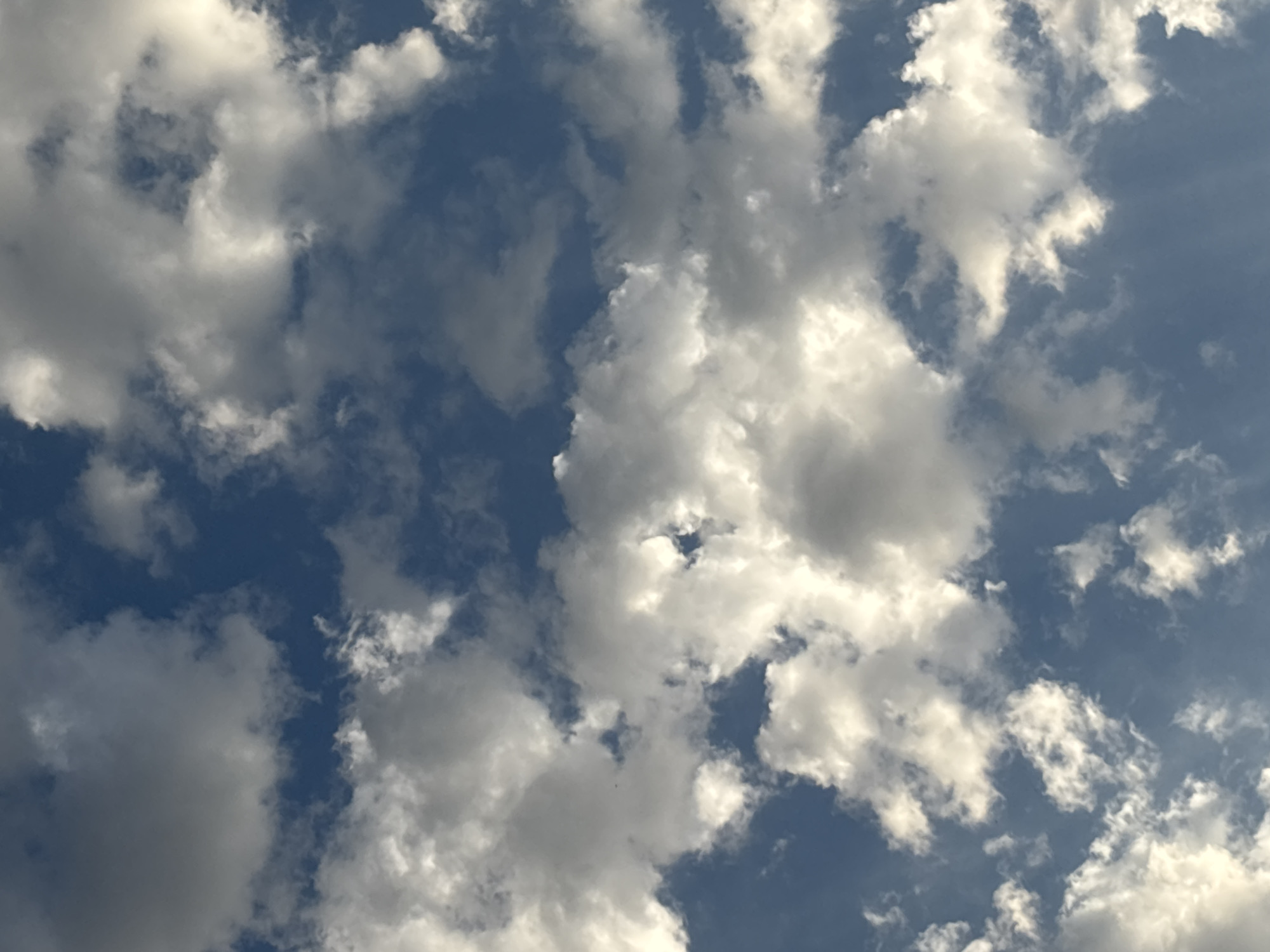 A close-up, angled shot captures a sky filled with a mix of fluffy white cumulus clouds and darker gray clouds against a deep blue sky. The clouds are unevenly distributed, with some areas appearing brighter where sunlight is illuminating them, while others are shadowed. The image does not depict any specific location in Taraz, Kazakhstan, nor does it contain any people, subjects, objects, or actions. The focus is solely on the natural atmospheric conditions of the sky.