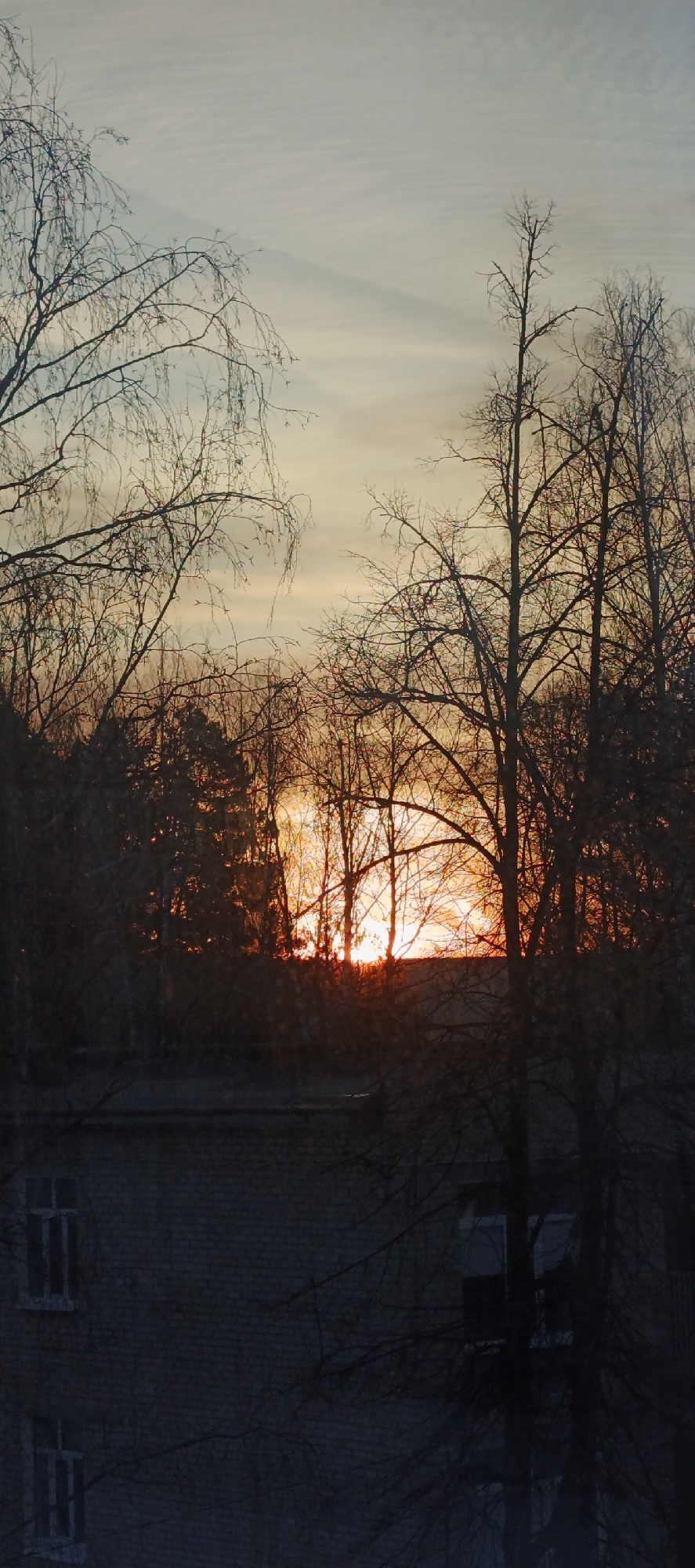 A low-angle shot looking out a window at a city sunset. The location is Chaikovsky, Russia. The light from the sunset is visible between the trees. The trees are mostly bare of leaves. A building is visible at the bottom of the frame. There are two visible windows on the side of the building.
