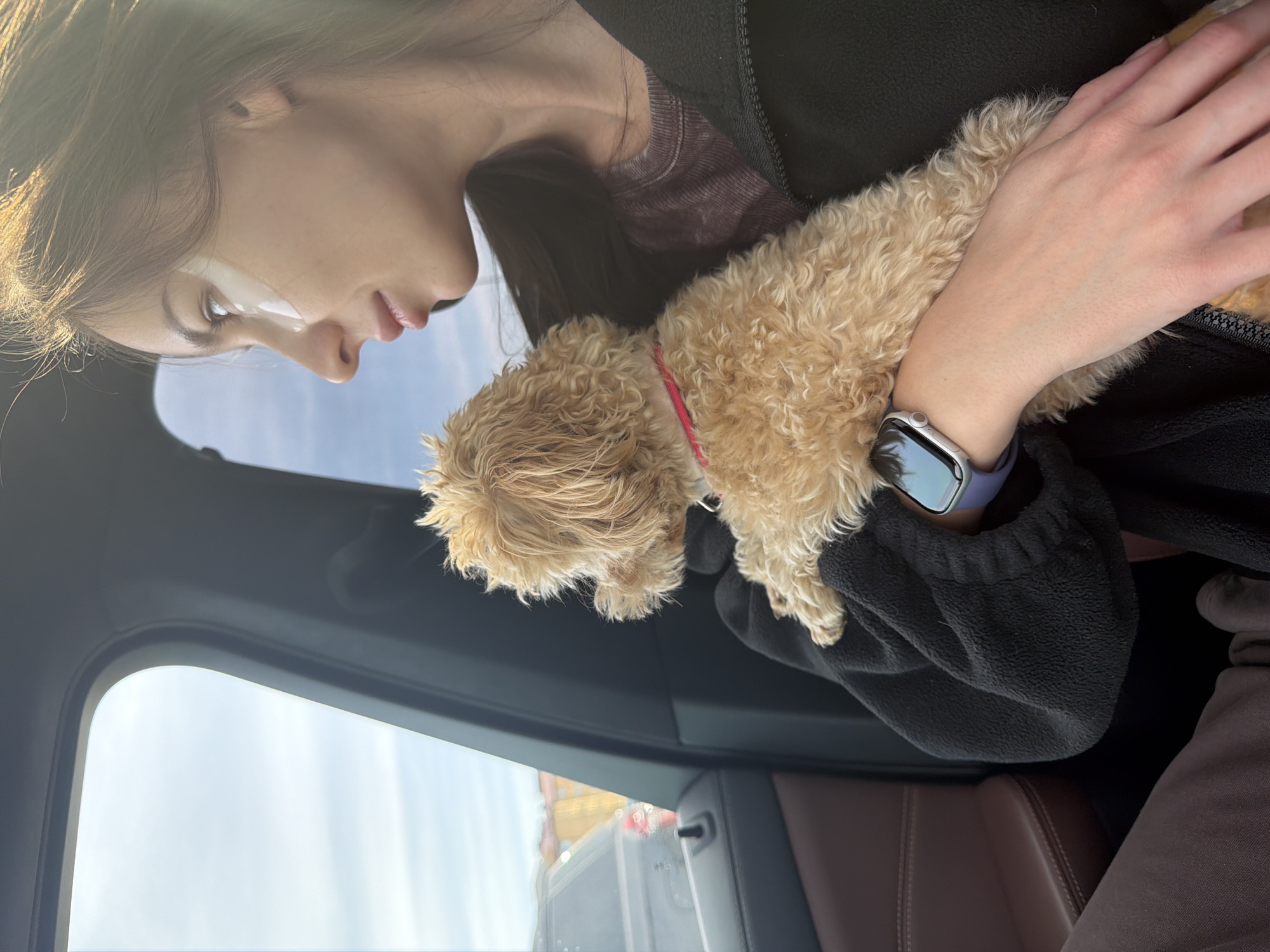 The image captures a person holding a small, light brown, fluffy dog inside a vehicle during bright daylight. The person, seen in profile, has long brown hair and is wearing a black fleece jacket over a purple or maroon shirt. White eye masks are visible under their eyes, and a silver Apple Watch with a purple band is on their left wrist. The dog, wearing a pink collar, is nestled in the person's arms, looking towards the window.
The setting appears to be the interior of a car, indicated by the brown leather seats and window frame. Bright sunlight illuminates the scene, suggesting a clear, sunny day. Through the car window, a bright sky is visible, and in the distance, part of a large truck or trailer can be discerned, hinting at a road or travel context. The person's expression appears calm and relaxed as they hold their pet. The activity portrays a quiet moment of companionship, possibly during travel in Мокшино, Russia. There is no visible text in the image.