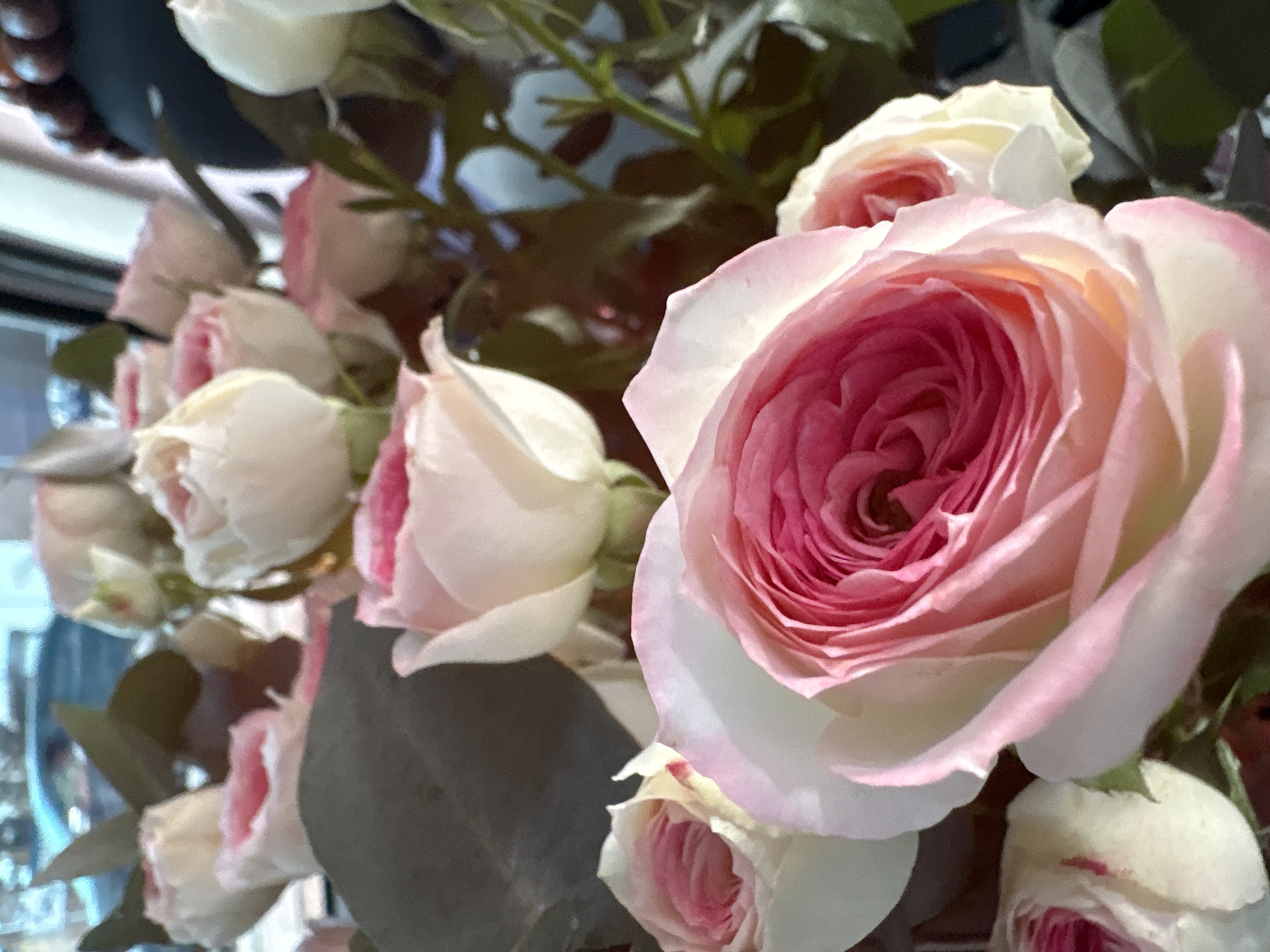 This is a close-up, vertical, eye-level, indoor photograph of a bouquet of light pink and white roses. The roses are in various stages of bloom, with some fully open and others still budding. The petals are soft and delicate, with a gradient of color from deep pink in the center to lighter pink and white on the outer edges. The background is blurred, but appears to be an indoor setting with natural light coming from a window, suggesting a domestic or retail environment, possibly a florist shop. There is no identifiable information within the image that places it specifically in the city of Pavlodar, Kazakhstan.