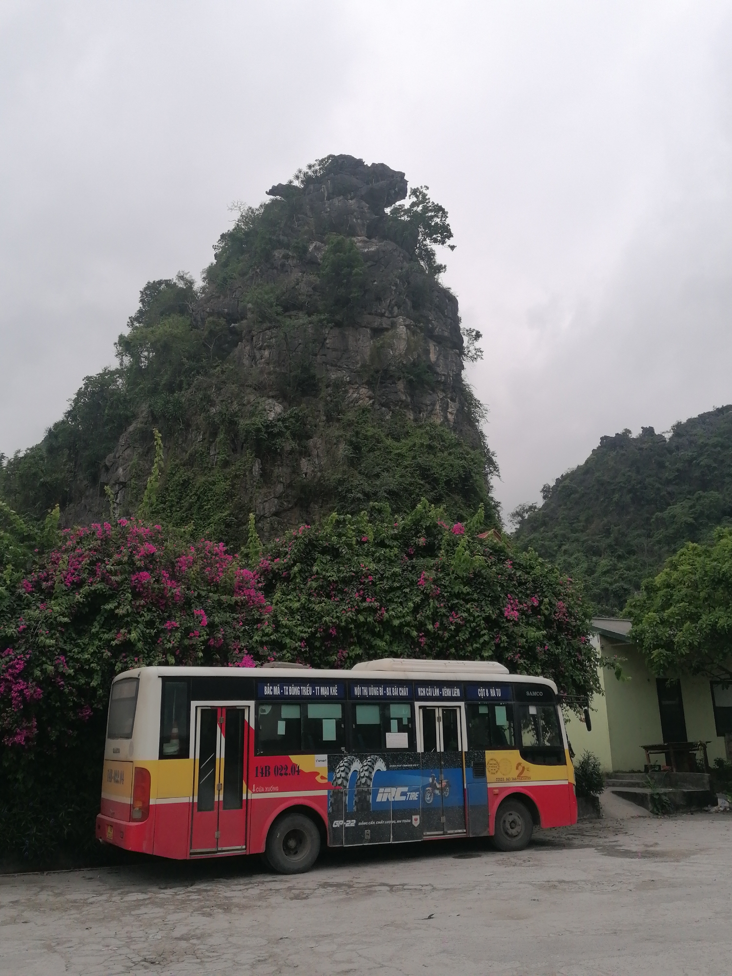 The image shows a stationary public bus parked on a paved area in front of lush greenery and a towering rock formation in Ha Tu Ward, Vietnam. The bus is predominantly red, yellow, and white, with advertising decals on its side and license plate number 14B-022.04. The advertisements include IRC tire branding. The bus is partially obscured by flowering bushes with pink blooms. Behind the bus, there is a two-story building painted a light greenish-yellow. A large rocky, green hill or mountain looms in the background, with smaller hills visible to the right. The sky is overcast and gray.