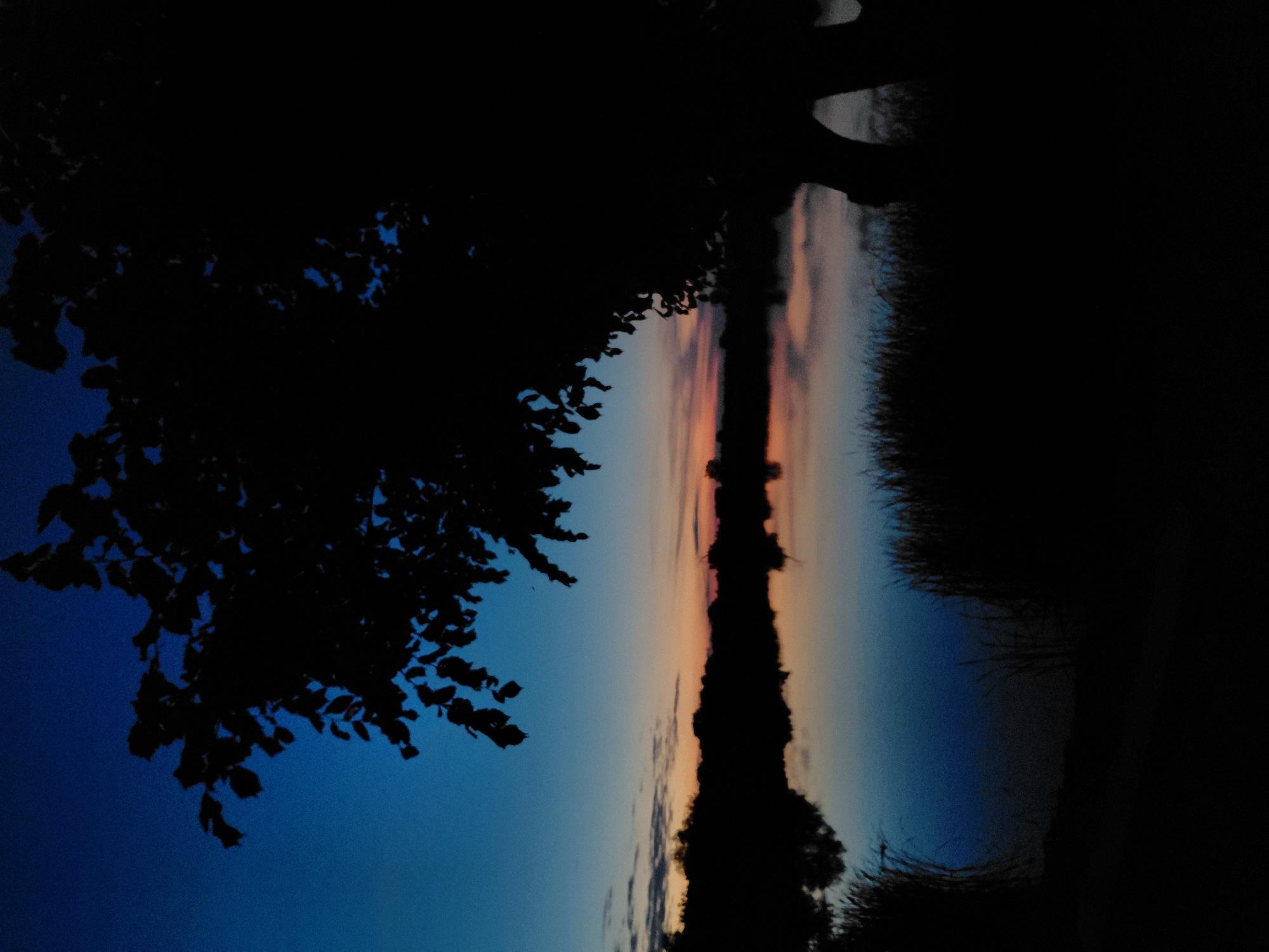 The image depicts a silhouetted tree in the foreground, with its branches extending across the upper portion of the frame. Beyond the tree, a body of water reflects the colors of the sky, which transitions from a deep blue at the top to hues of orange and pink near the horizon. A dark, silhouetted treeline runs along the far side of the water, and tall grasses are visible in silhouette along the near bank. The scene captures the twilight hours, likely just after sunset, in a natural environment. The location is identified as Ustyvytsia, Ukraine. There are no people or animals visible in the image.
