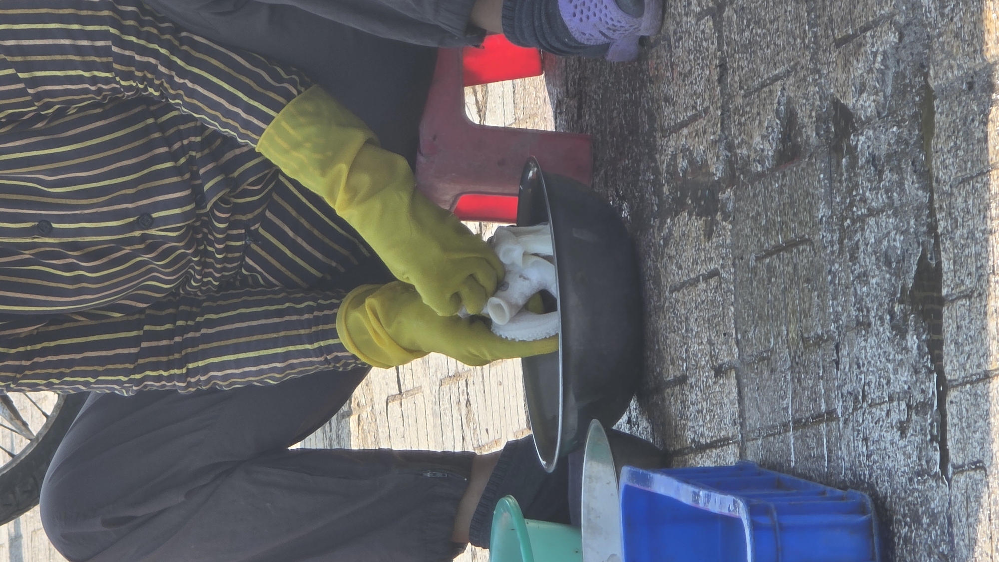 A person wearing a striped shirt, black pants, and yellow gloves is cleaning something white inside a black bowl. They are sitting on a small red stool outside on a paved surface. A blue container is nearby. This photograph was taken in the city of Bắc Nha Trang, Vietnam.