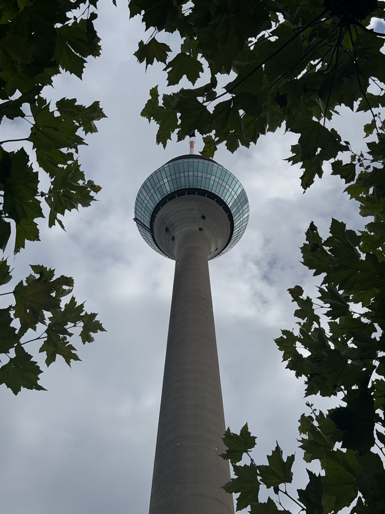 The image shows the Rheinturm, a telecommunications tower in Düsseldorf, Germany, framed by dark green leaves and branches of a tree. The tower is a tall, grey concrete structure with a glass observation deck at the top. The sky is overcast with clouds. The perspective is from below, looking up at the tower.