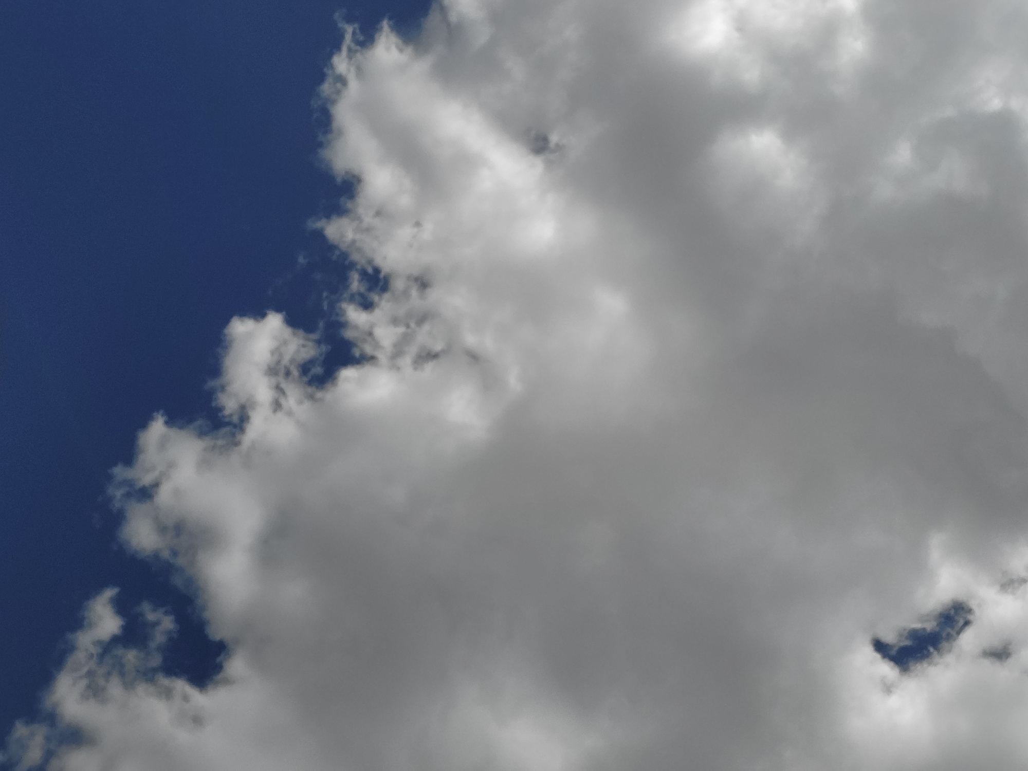 The image displays a daytime sky filled with clouds. The left side of the frame features a clear, deep blue sky, while the majority of the image is occupied by large, voluminous clouds ranging in color from bright white to various shades of gray.
The clouds show varying textures and densities. Some sections appear fluffy and brightly lit, suggesting direct sunlight, while other, thicker areas are grumbly and darker grey, indicating shadowing or greater depth within the cloud mass. The bright highlights on the clouds suggest a sunny day, despite the extensive cloud cover. Patches of the blue sky are visible along the left edge, forming an irregular border with the clouds, and also in smaller, irregular gaps within the cloud formations.
No people, man-made objects, animals, or text are visible in the image. The scene is solely focused on the natural interplay of clouds and sky. The overall impression is one of a dynamic sky, possibly indicating fair weather with some substantial cloud development.