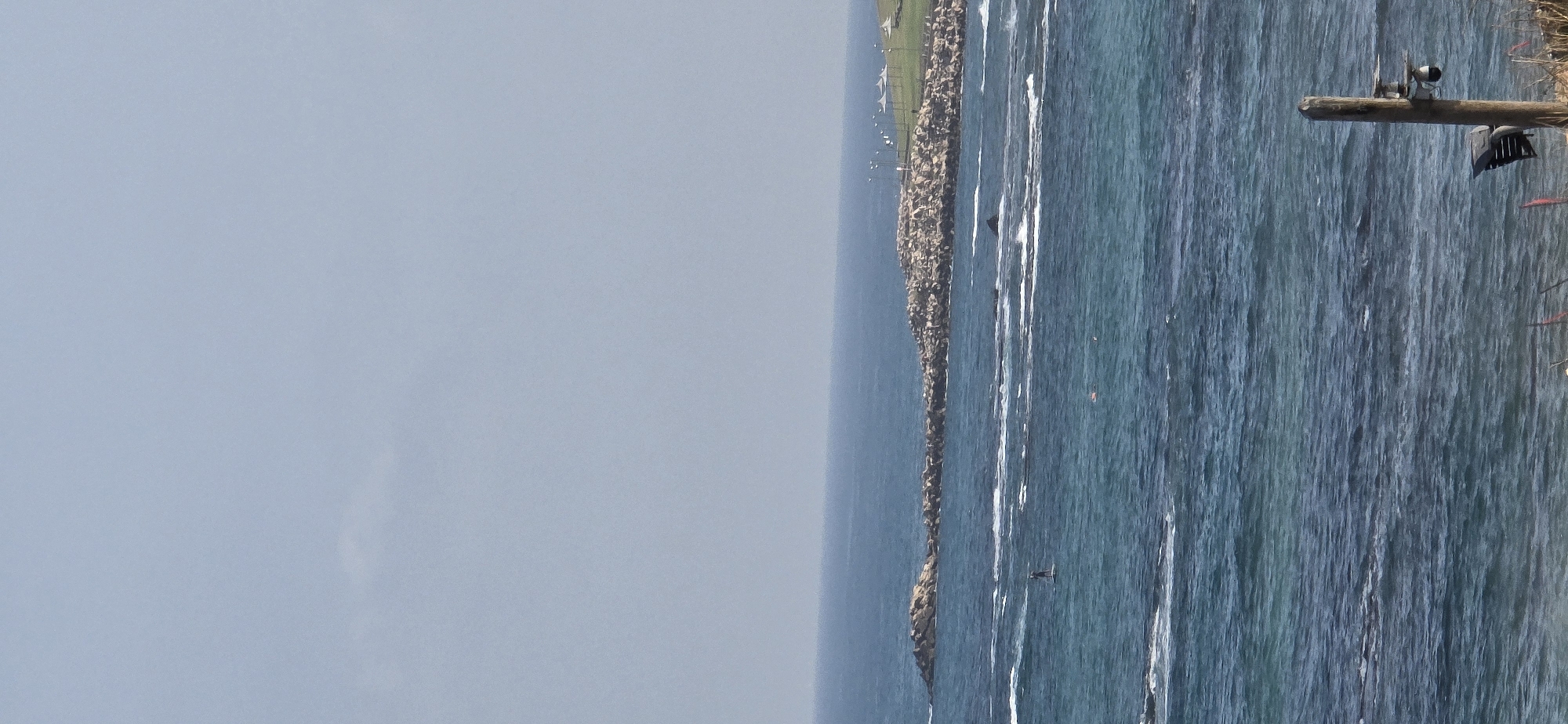 An eye-level, vertical, medium-wide shot shows a choppy, blue-green ocean with a long, rocky breakwater in the distance. A single person is visible on a paddleboard in the middle ground, and several small, orange buoys or markers are scattered in the water. The breakwater juts out from the right side of the frame and is topped with grass and a few white umbrella-like structures. The sky above is a hazy, light blue with a few wispy clouds on the left side. In the foreground, the top of a wooden post with a security camera and solar panel is visible on the right edge of the frame, along with some dry grass and vegetation.