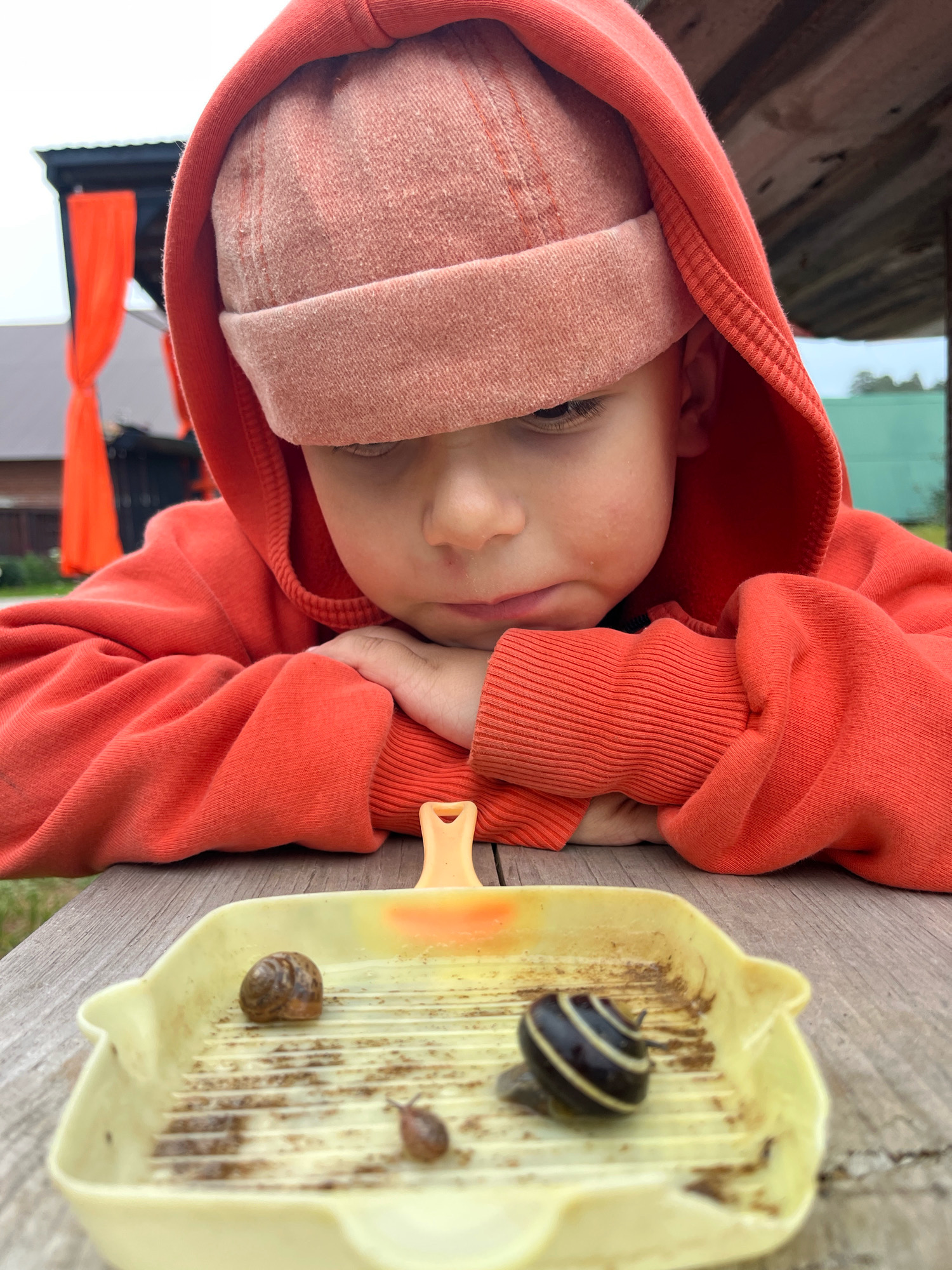 A young child wearing an orange hooded sweatshirt and a light pink beanie is resting their chin on their folded hands, looking down at a yellow plastic tray containing three snails on a wooden table outdoors. The snails are of varying sizes and colors. In the background, there is a wooden structure with orange curtains and some greenery. The scene appears to be in a residential backyard or a park-like setting. The lighting suggests it is daytime, possibly overcast. The location in Chaikovsky, Russia, is not visually identifiable from the image itself.