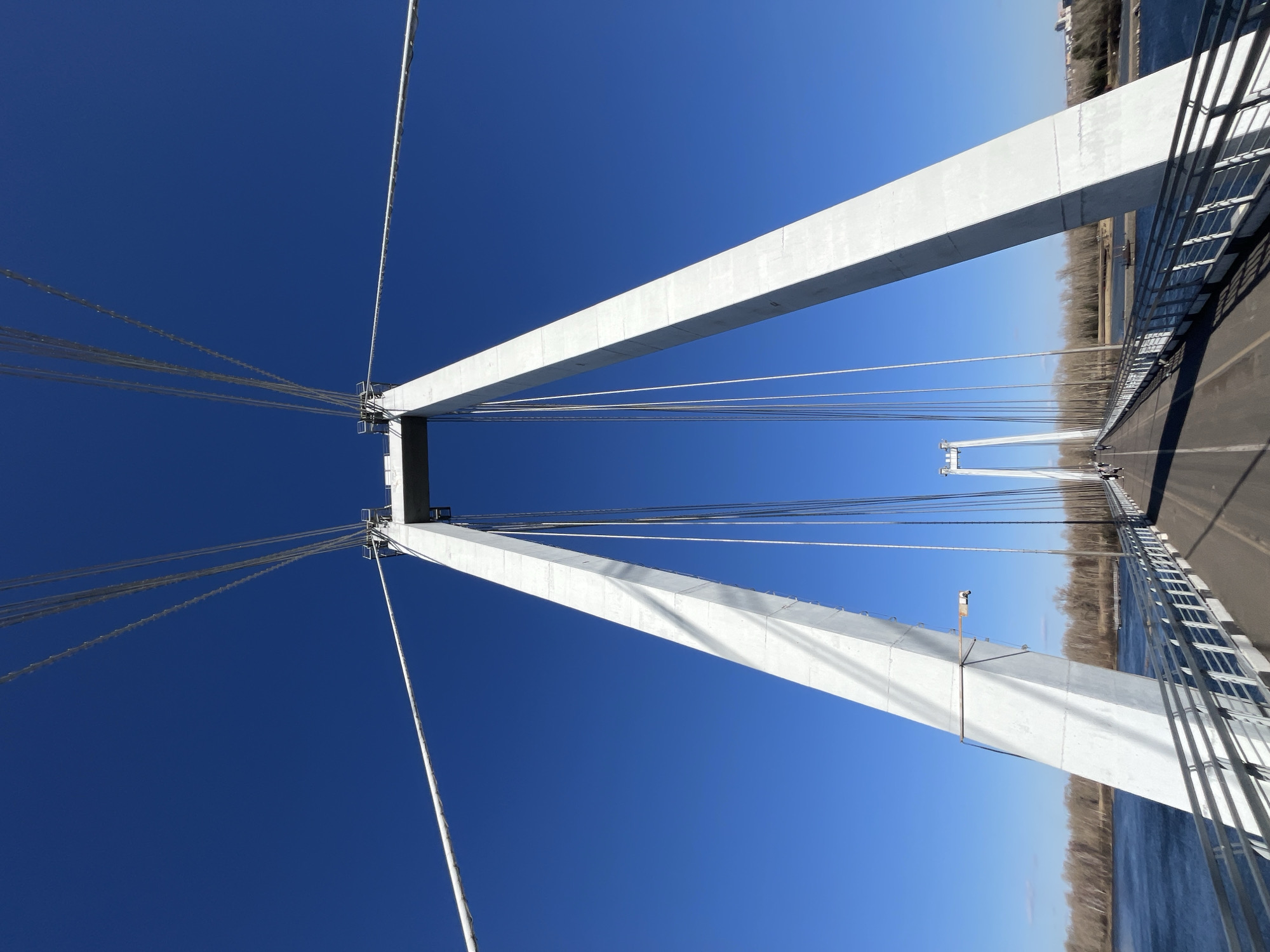 This is a perspective shot of the Vinogradovsky Bridge in Krasnoyarsk, Russia. Two large, white, concrete pylons are shown, with multiple suspension cables extending from their tops. The sky is a clear, deep blue. On the right side, part of the bridge deck, railing, a body of water, and the distant shore lined with trees are visible. The image appears to be taken from a position above the bridge deck, looking along its length.