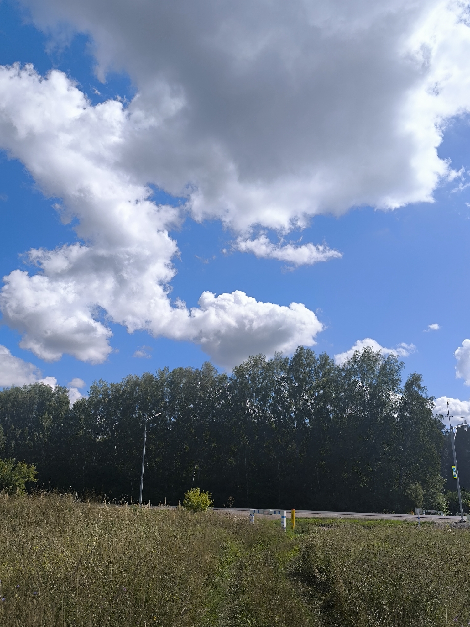 An outdoor, ground-level, medium shot captures a vibrant, sunlit scene in Maiskii, Russia. A dense line of green trees forms the backdrop, with a clear blue sky filled with fluffy white and gray clouds overhead. In the foreground, a field of tall, dry grass, some with a touch of green, stretches across the lower half of the image. A paved road runs horizontally through the middle ground, bordered by a few small, light-colored posts with blue and white stripes and a single yellow post. A tall, gray lamppost stands near the left side of the road, and a road sign with a yellow background and a black symbol is visible on the right side. The overall impression is one of a peaceful, rural landscape on a clear, bright day.