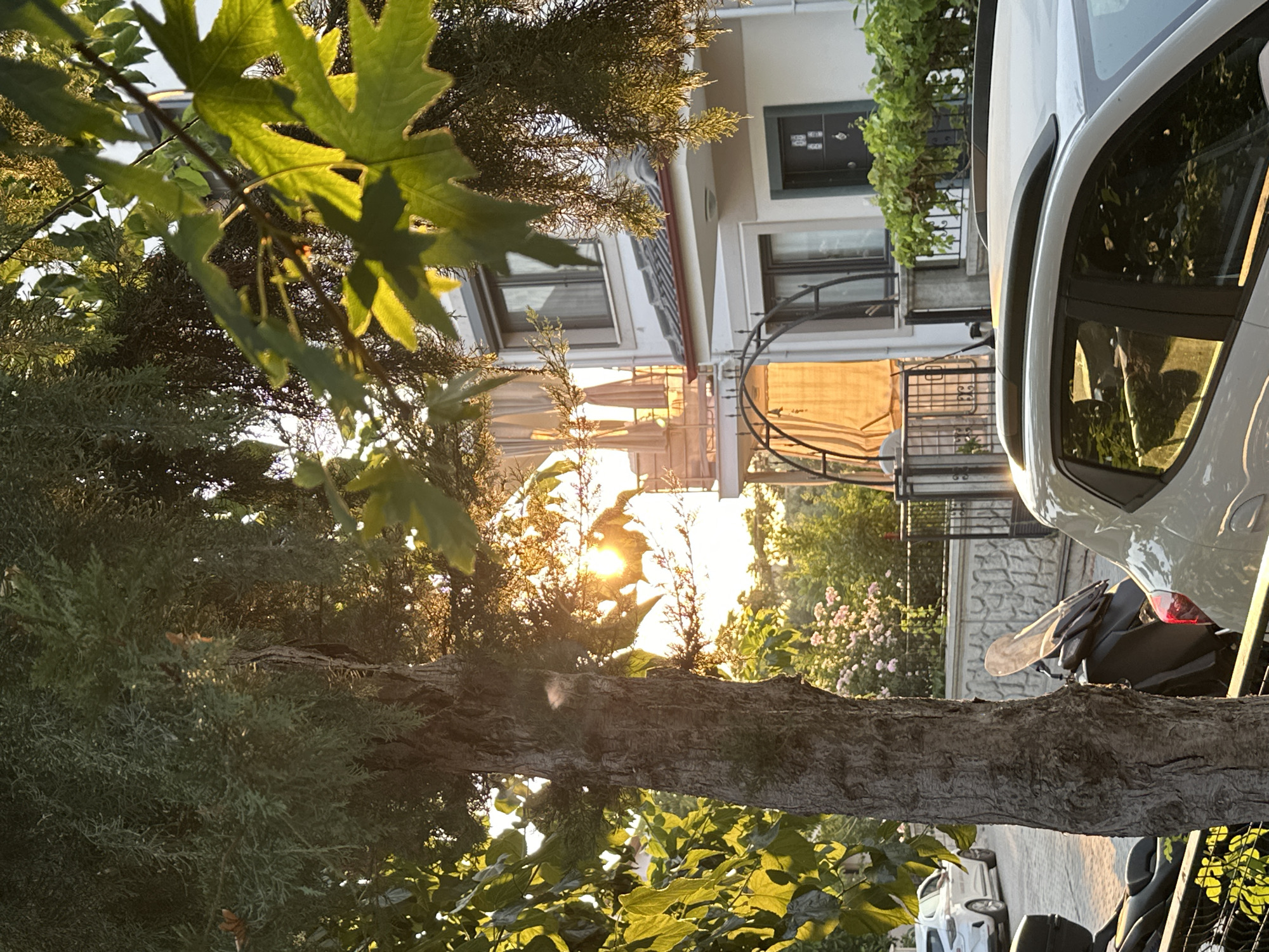 A photograph taken from street level in Fethiye, Turkey, at approximately golden hour, showcases a residential building with a white facade and a tiled roof. A large tree trunk occupies the left foreground, with dense green foliage in the upper portion of the image obscuring the sky and dappled sunlight. The tree's rough bark is visible. Behind the tree, to the right, the sun shines intensely through leaves, creating a lens flare effect.
The building features several windows, some with dark frames and screens. A balcony with light-colored umbrellas is visible on the second floor, and an arched structure with a sheer curtain is present near the entrance. A white car is parked on the paved street in the middle ground. To the right of the tree, a scooter with a translucent windshield is parked. A portion of a light-colored car is visible in the lower right corner. A low stone wall with an iron fence runs horizontally across the middle ground. Pink flowers are visible in the garden behind the fence. The overall scene depicts a tranquil, sunlit streetscape.