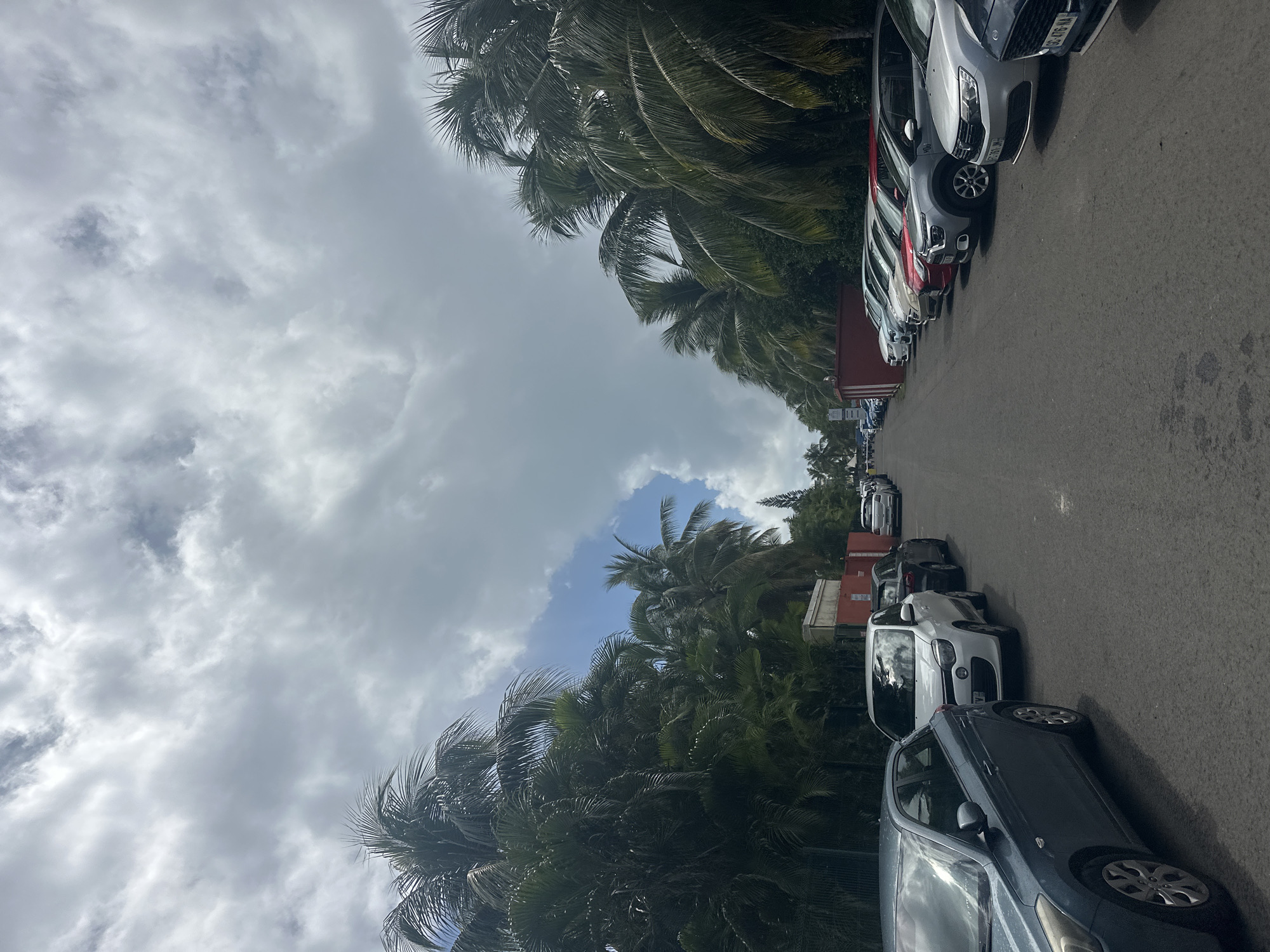 The image depicts a street in Le Gosier, France, lined with palm trees on both sides. A row of parked cars extends along the right side of the street. The sky above is partly cloudy. The scene is generally overcast, and the lighting suggests it is daytime.