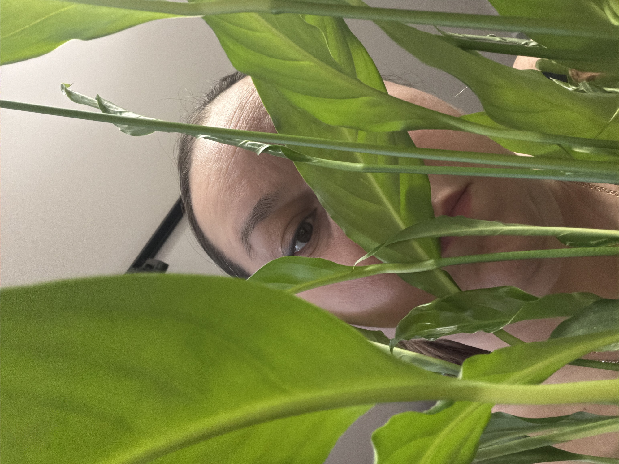 A close-up, low-angle shot features a person partially hidden behind a dense arrangement of vibrant green plant leaves and stems. The person's face is largely obscured, with only one eye, a portion of the forehead, and part of the cheek and jawline visible through the foliage. The visible eye looks directly forward, engaging the viewer. A thin gold chain is faintly visible near the person's neck or collarbone area. The background appears to be a plain, light-colored surface, likely a wall or ceiling, suggesting an indoor environment. The lighting is bright and even, highlighting the texture and color of the leaves and illuminating the visible skin. There are no discernible location cues within the image itself to indicate the provided context of Chaikovsky, Russia. No text is visible.