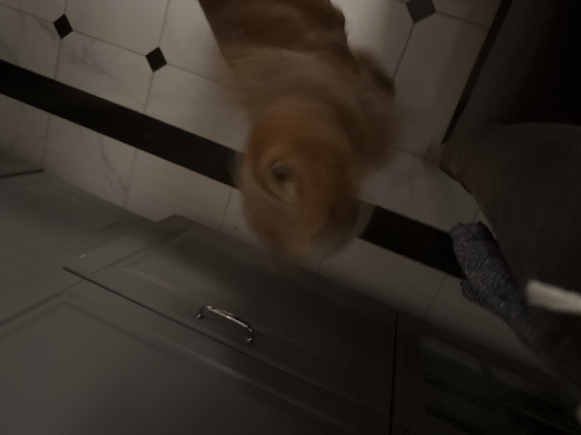 A dog, appearing to be a golden retriever, is captured in motion, creating a blur of its head and upper body as it spins. The dog is positioned on a tiled floor featuring a pattern of white squares with black accents, intersected by a thick dark stripe. To the left, a dark cabinet with a silver handle is visible. In the foreground, the legs of a person are also blurred, wearing dark pants and what appears to be a patterned sock or shoe. The lighting is dim, with a distinct streak of light illuminating the floor.