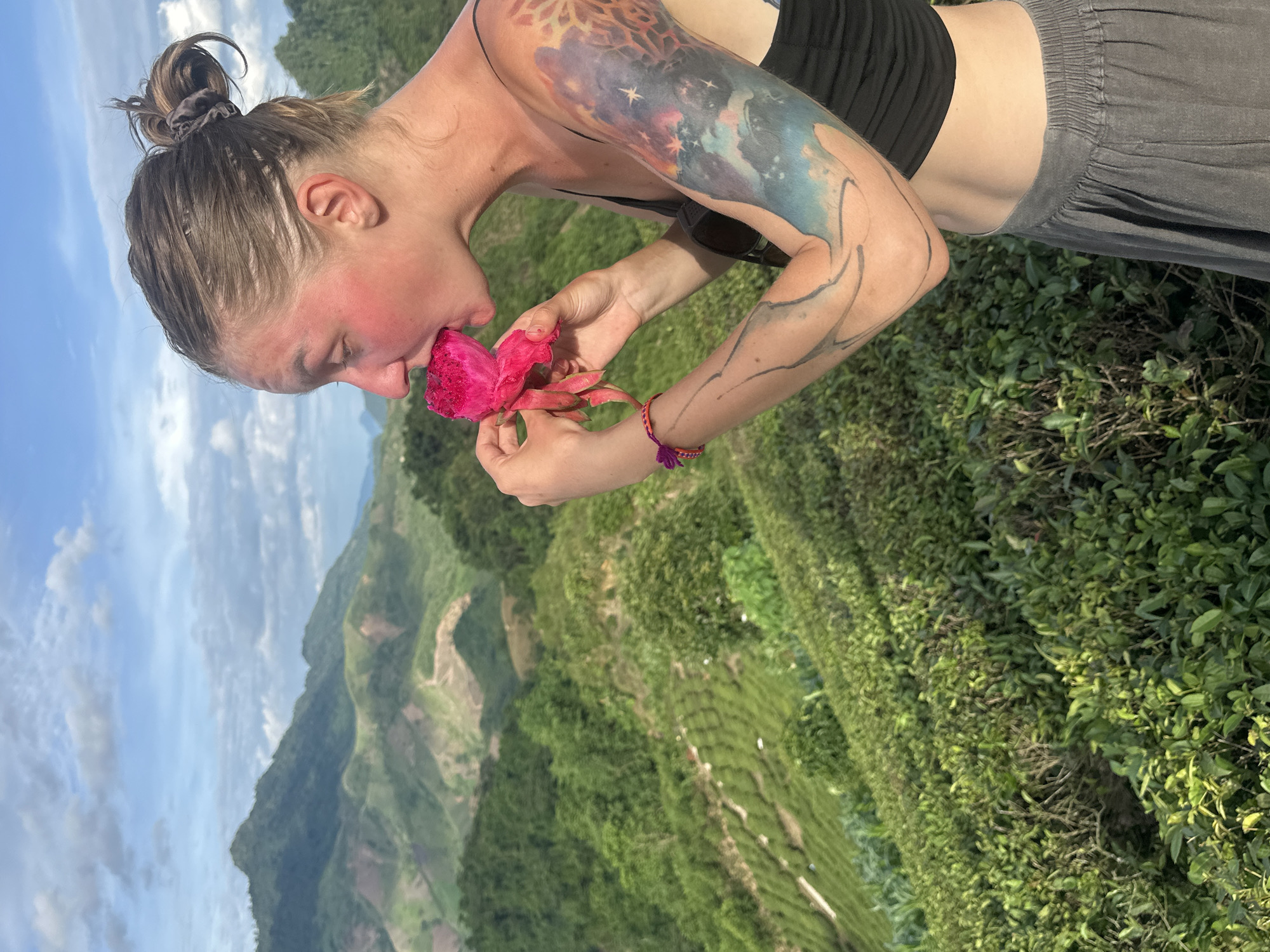 A young woman with blonde hair tied up in a bun, wearing a black tank top and gray pants, is captured in a profile view. She is standing outdoors, with a lush green mountain landscape and a cloudy blue sky serving as the backdrop. The woman has a vibrant pink dragon fruit in her hand, which she is eating. Her right arm is adorned with a colorful, cosmic-themed tattoo. A thin, braided bracelet in pink and purple is visible on her left wrist. The foreground features a dense growth of green tea bushes. The scene appears to be in the terraced tea fields of To Mua, Vietnam, a location known for its stunning natural beauty and tea plantations.