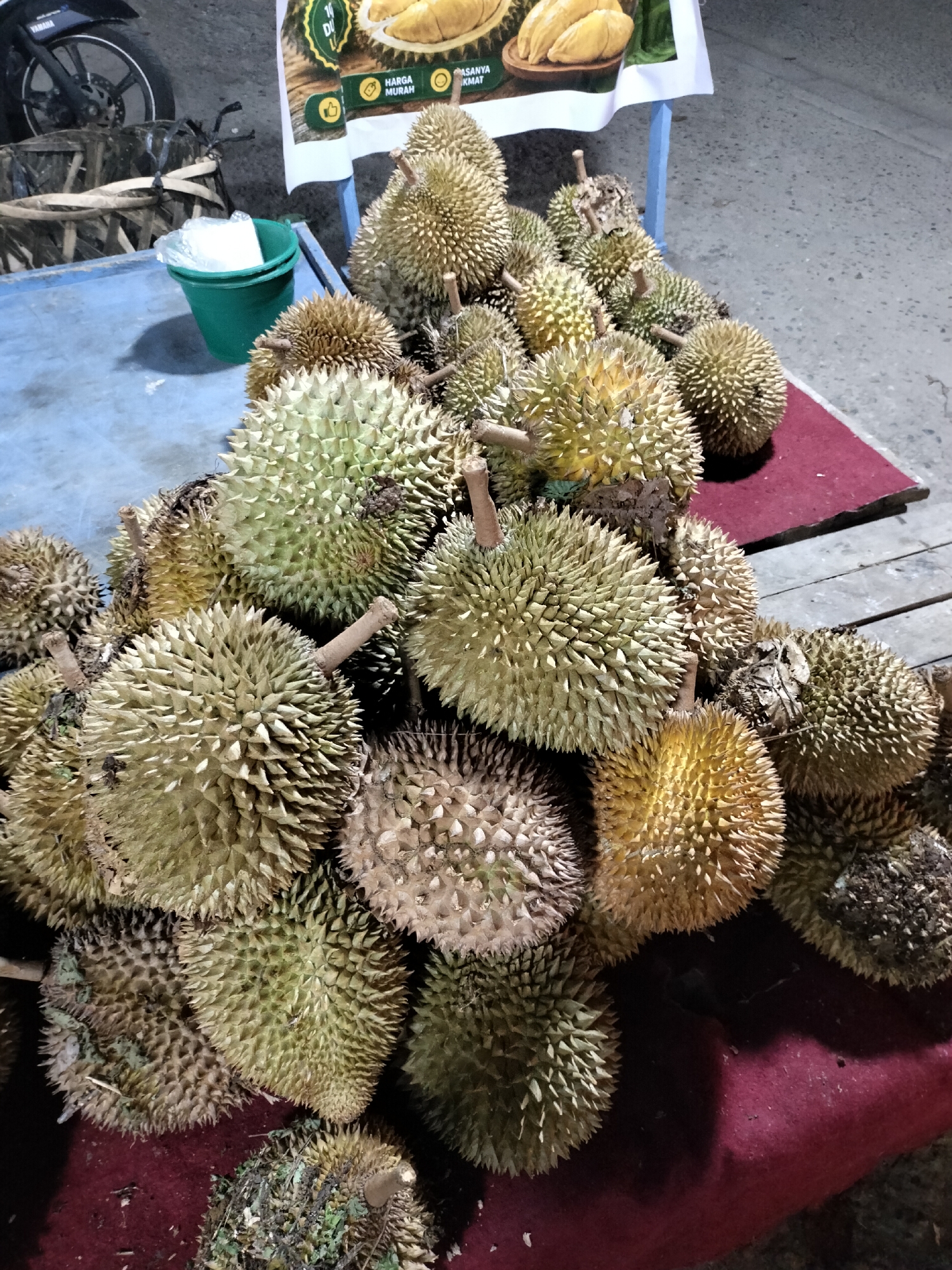 A high-angle, medium shot captures a pile of durians on a table. The durians, with their spiky exteriors, vary in color from light green to yellowish-brown. Some are clustered together tightly, while others are more spread out. A red cloth or rug is visible beneath a portion of the durians. To the left of the durians, a blue table surface is partially visible, with a small green bucket containing white material. In the background, a portion of a motorcycle wheel and a sign with images of durians and text are present. The scene appears to be outdoors, possibly at a market.